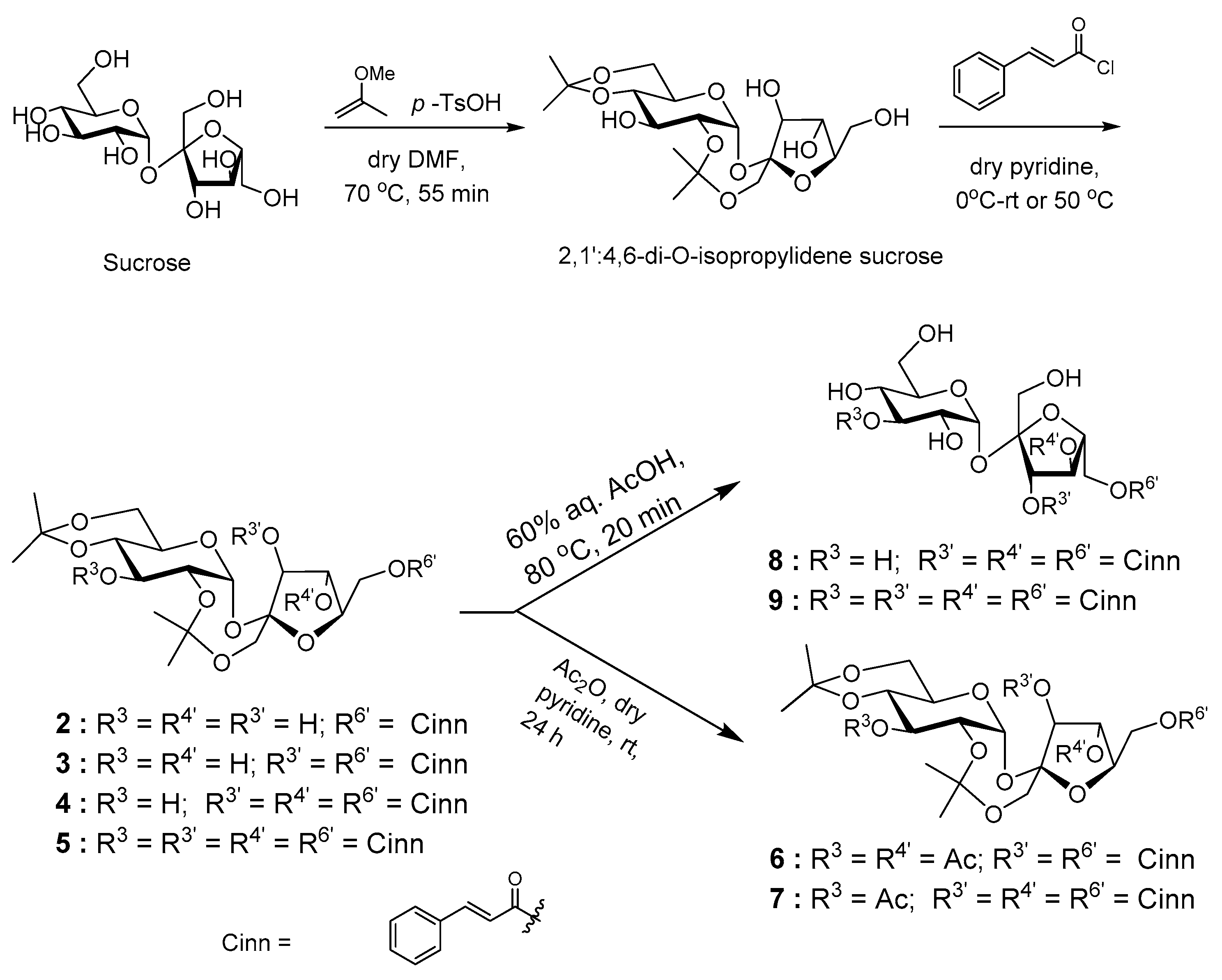 Molecules 26 00469 sch001 Molecules 26 00469 sch001