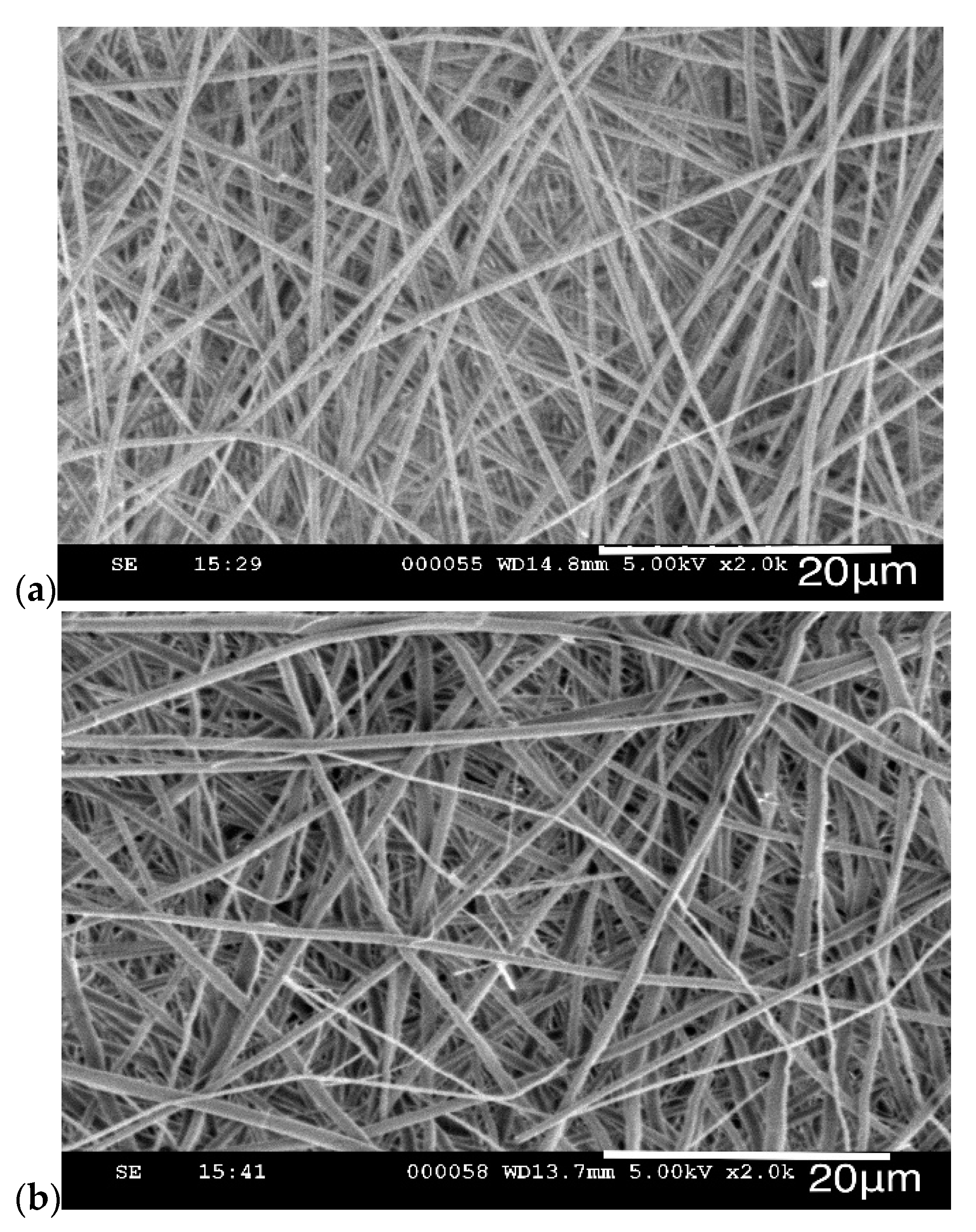 Molecules 26 00518 g003