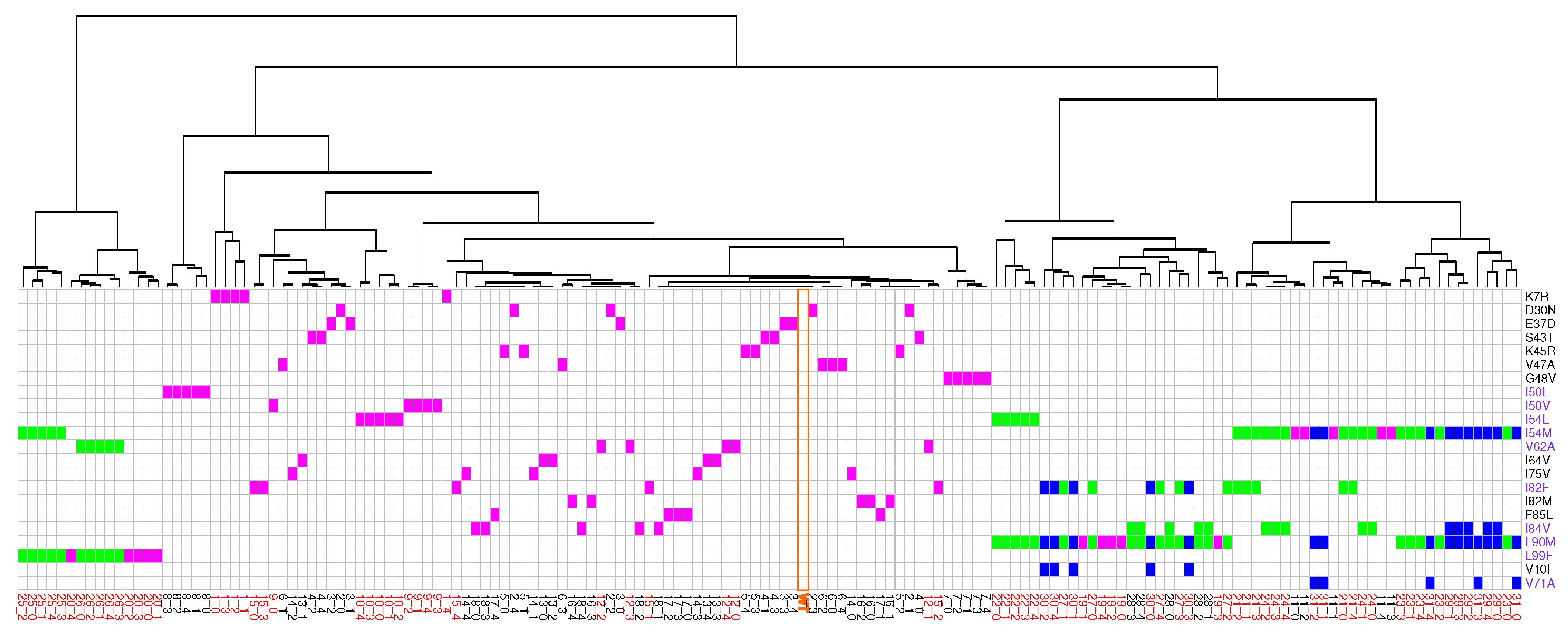 Molecules 26 00611 g007