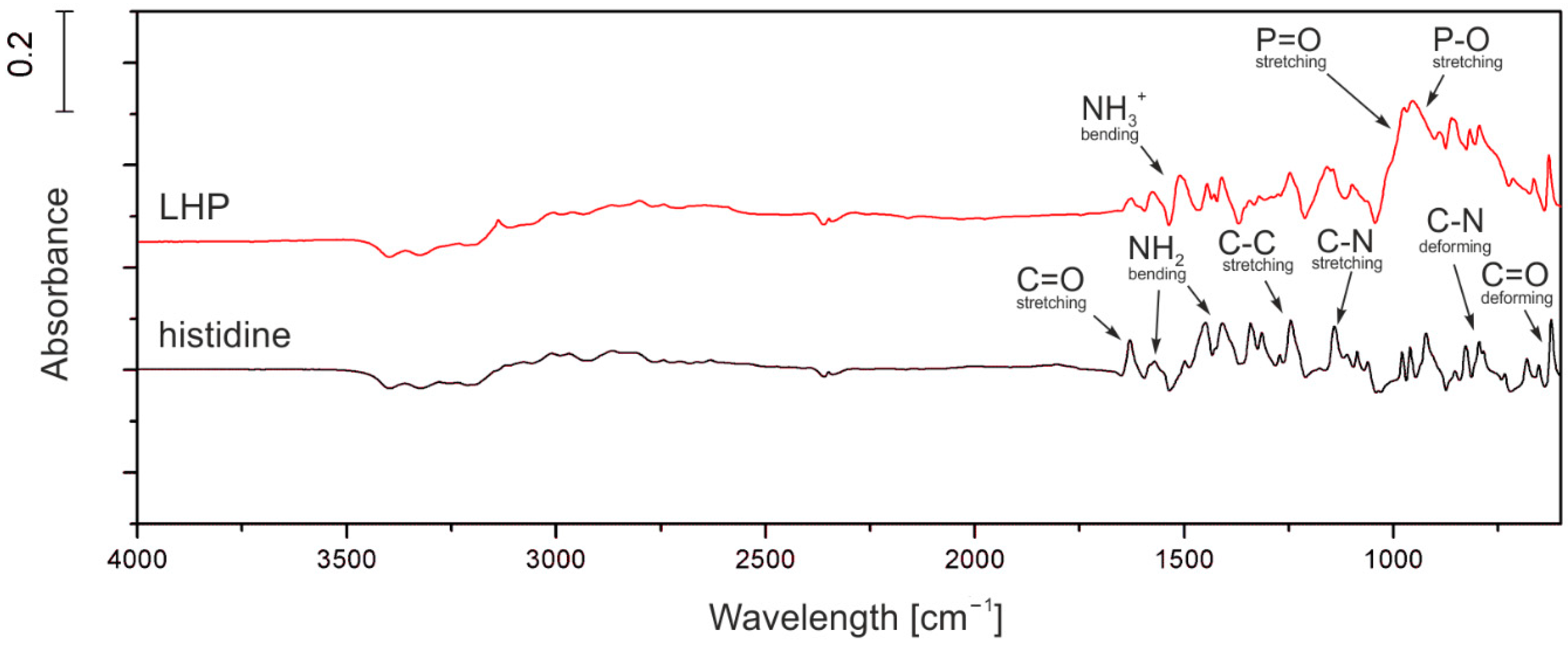 Molecules 26 00932 g001 Molecules 26 00932 g001