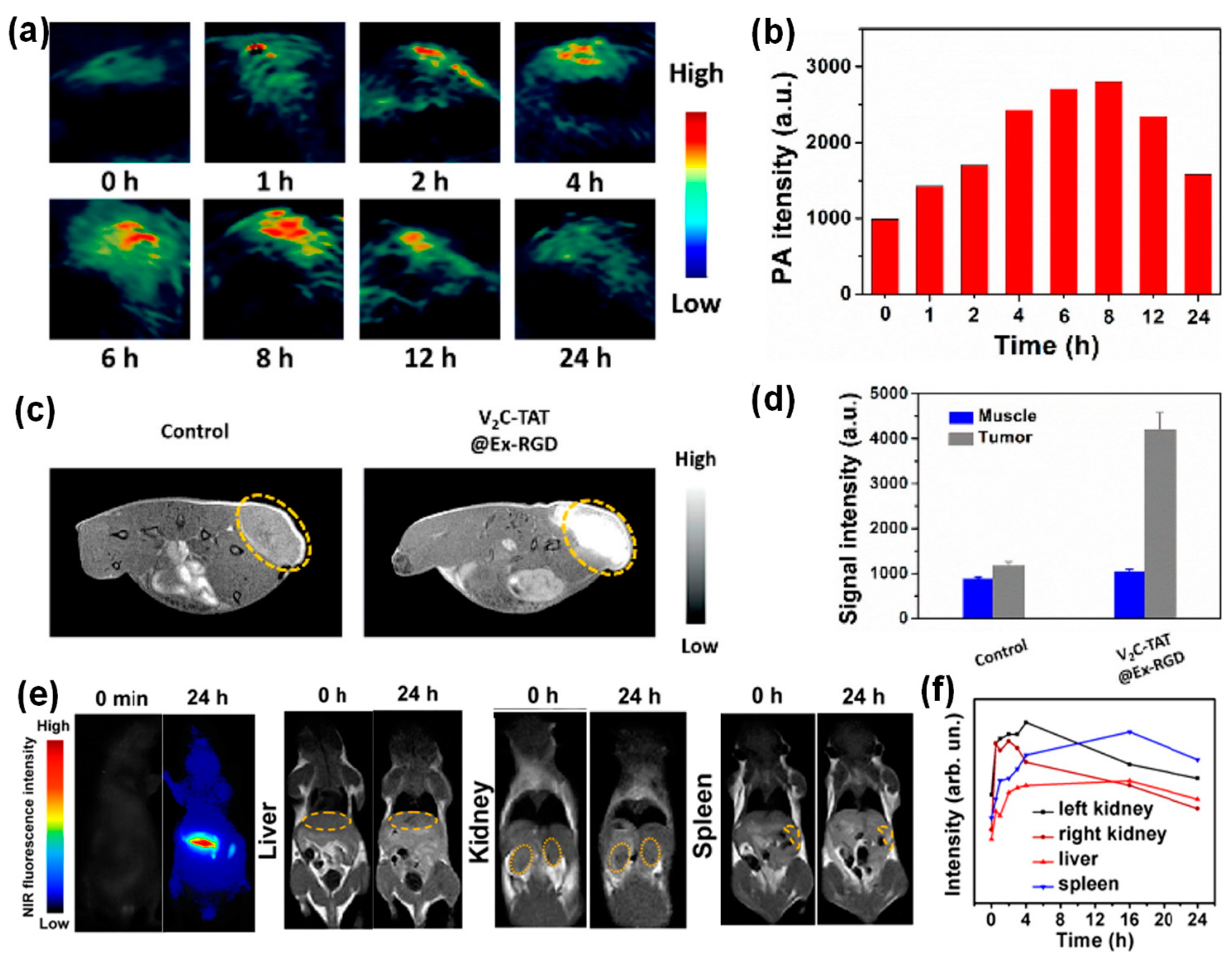 Molecules 26 01135 g005