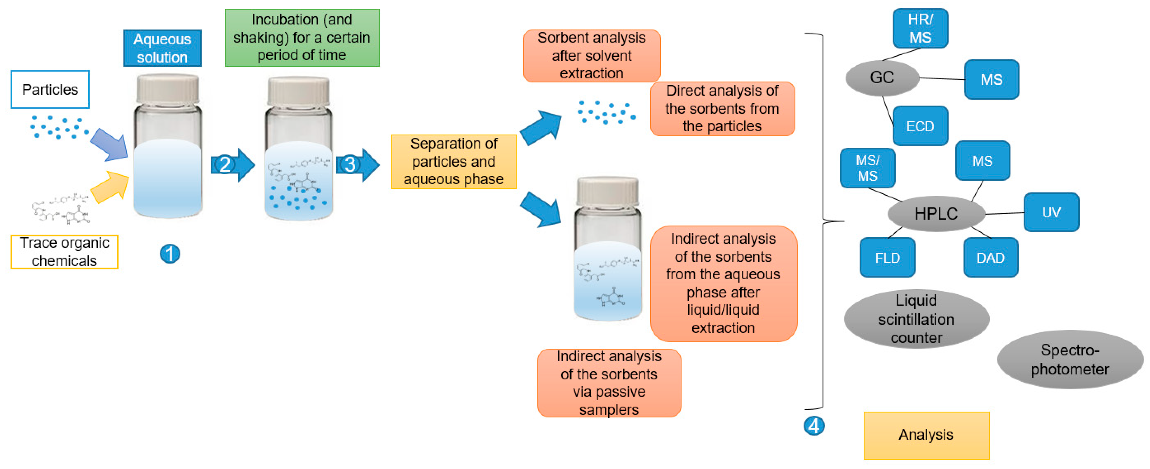 Molecules 26 01164 g001
