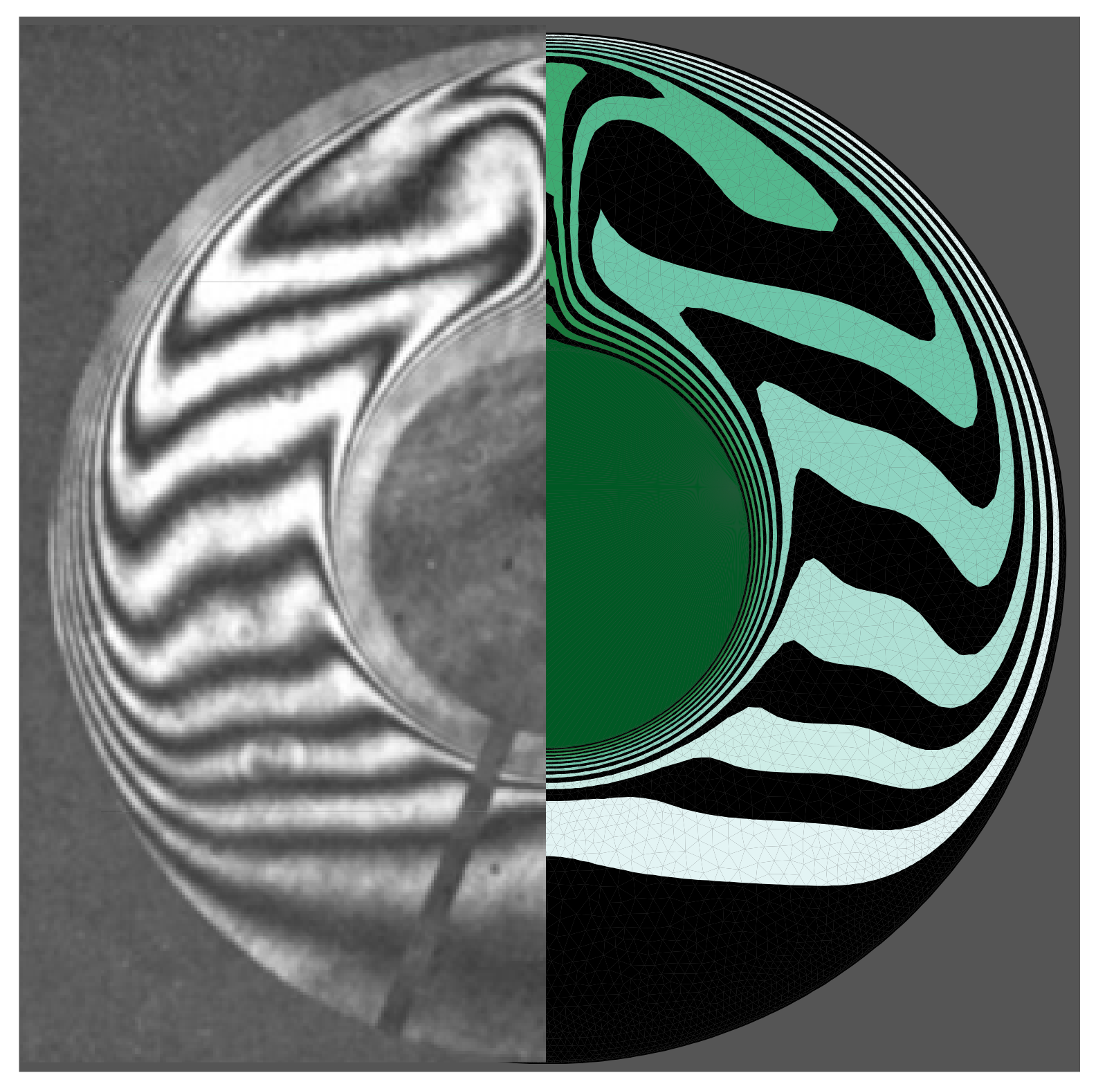 Molecules 26 01491 g008