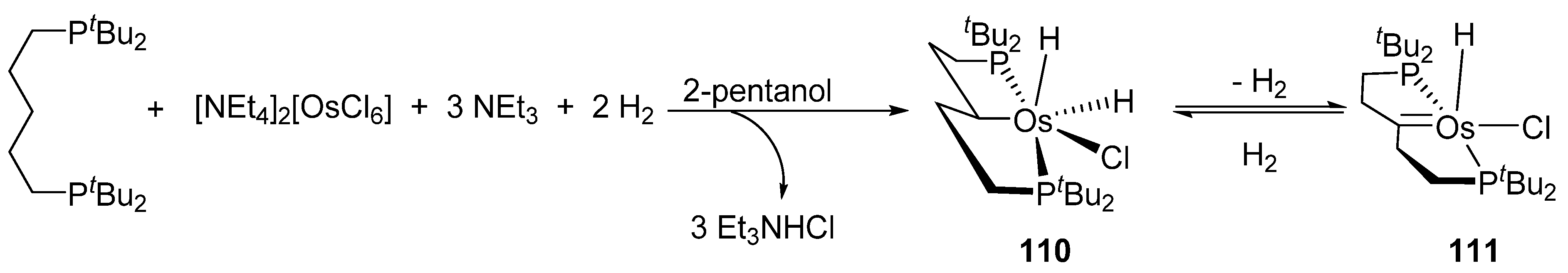Molecules 26 01563 g024
