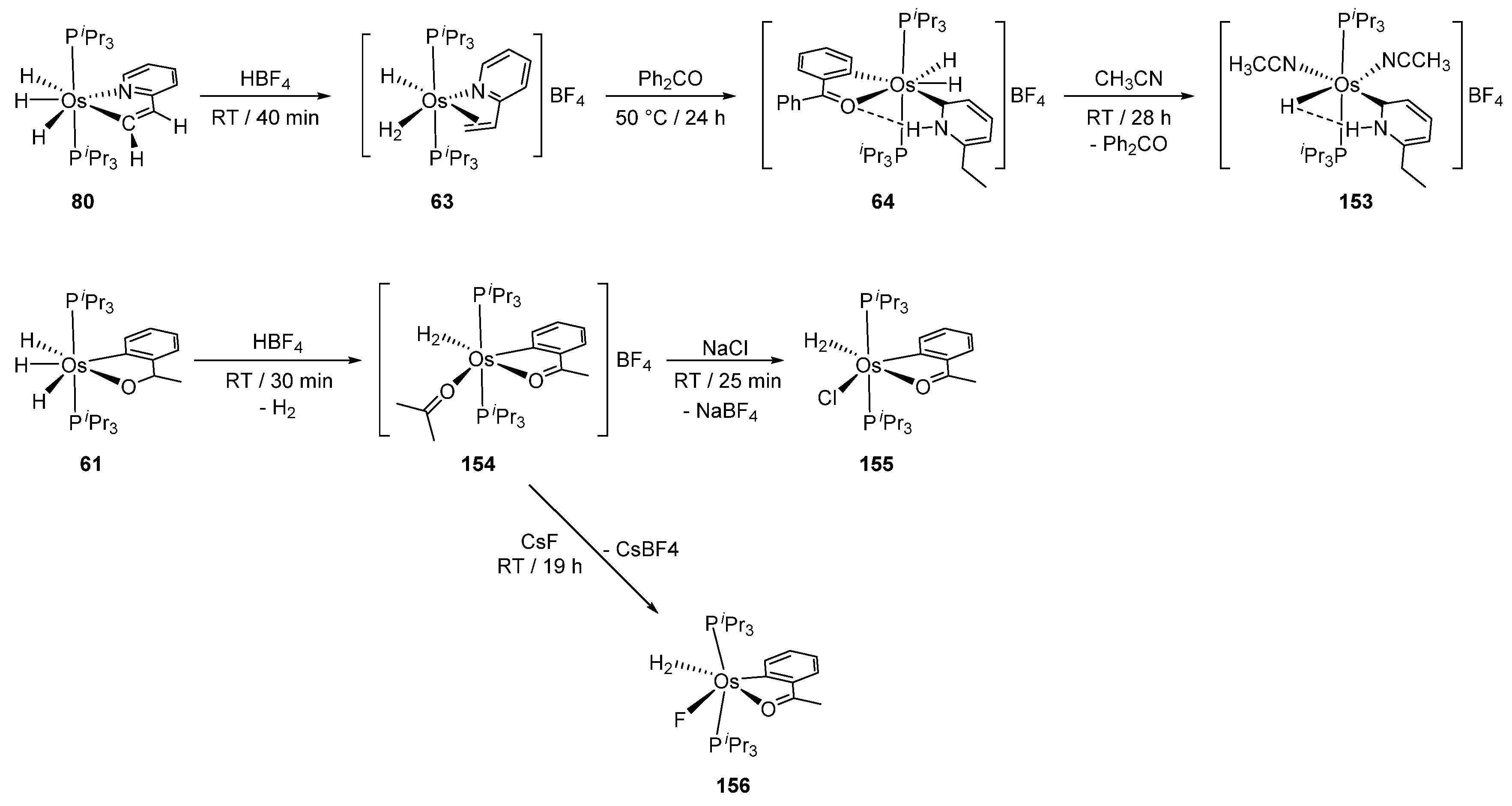 Molecules 26 01563 g033