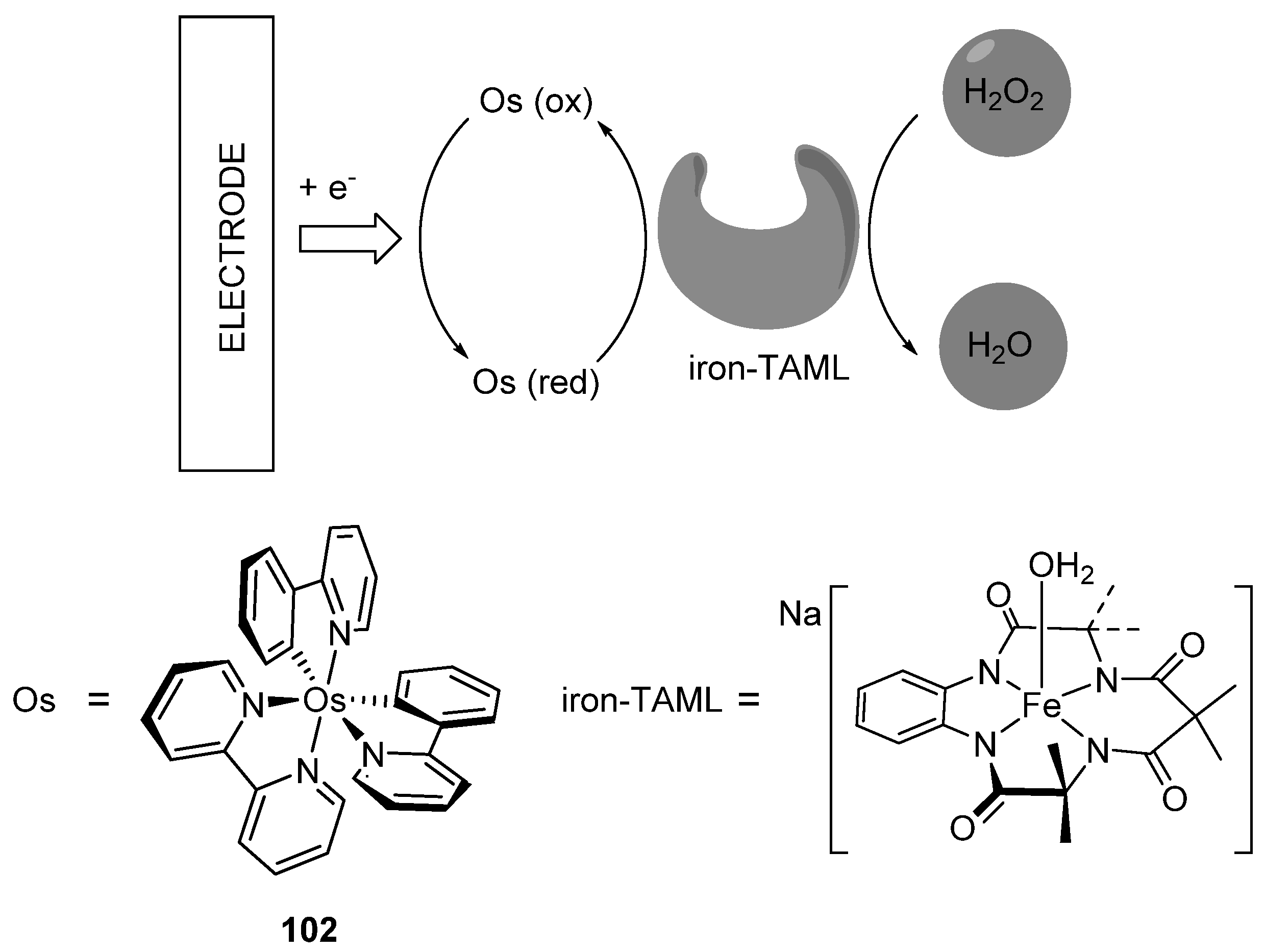 Molecules 26 01563 g048