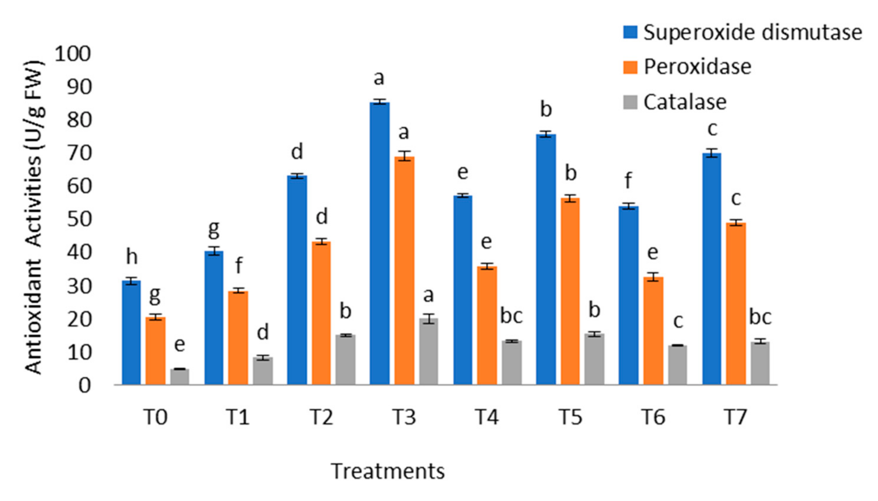Molecules 26 01569 g004