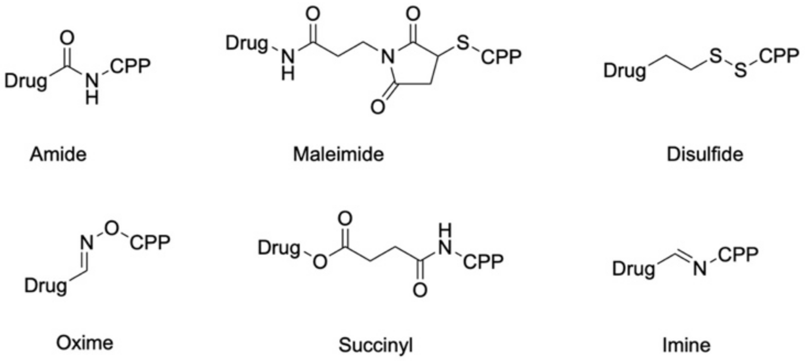 Molecules 26 01591 g002