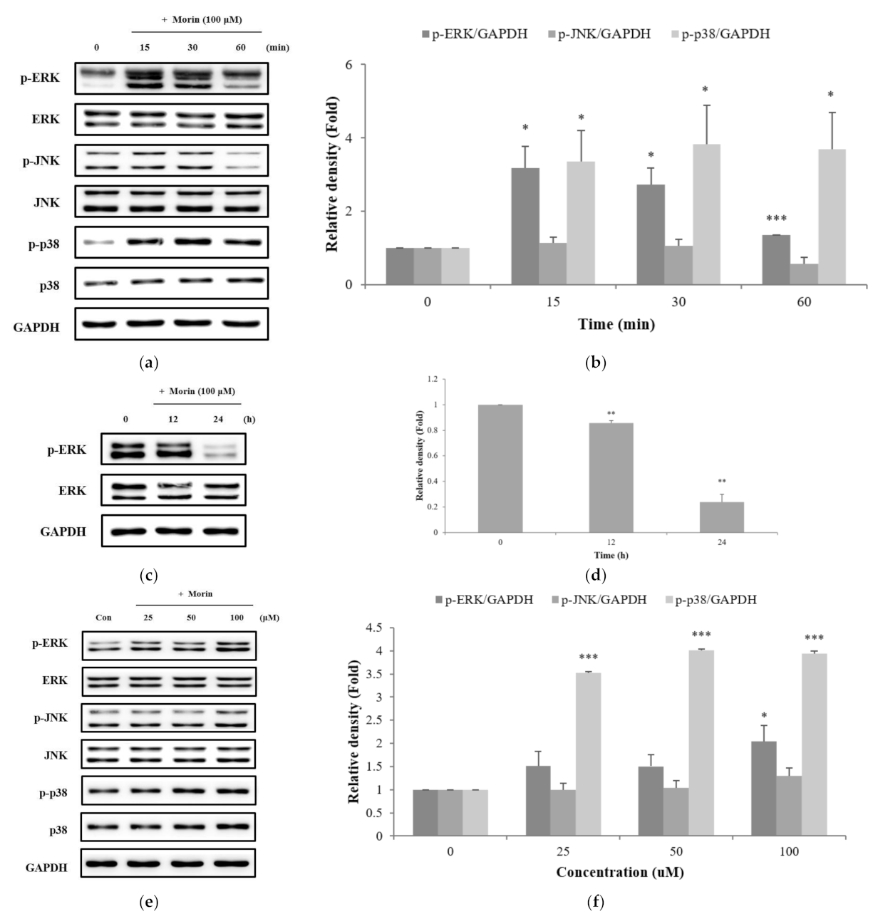 Molecules 26 02150 g005