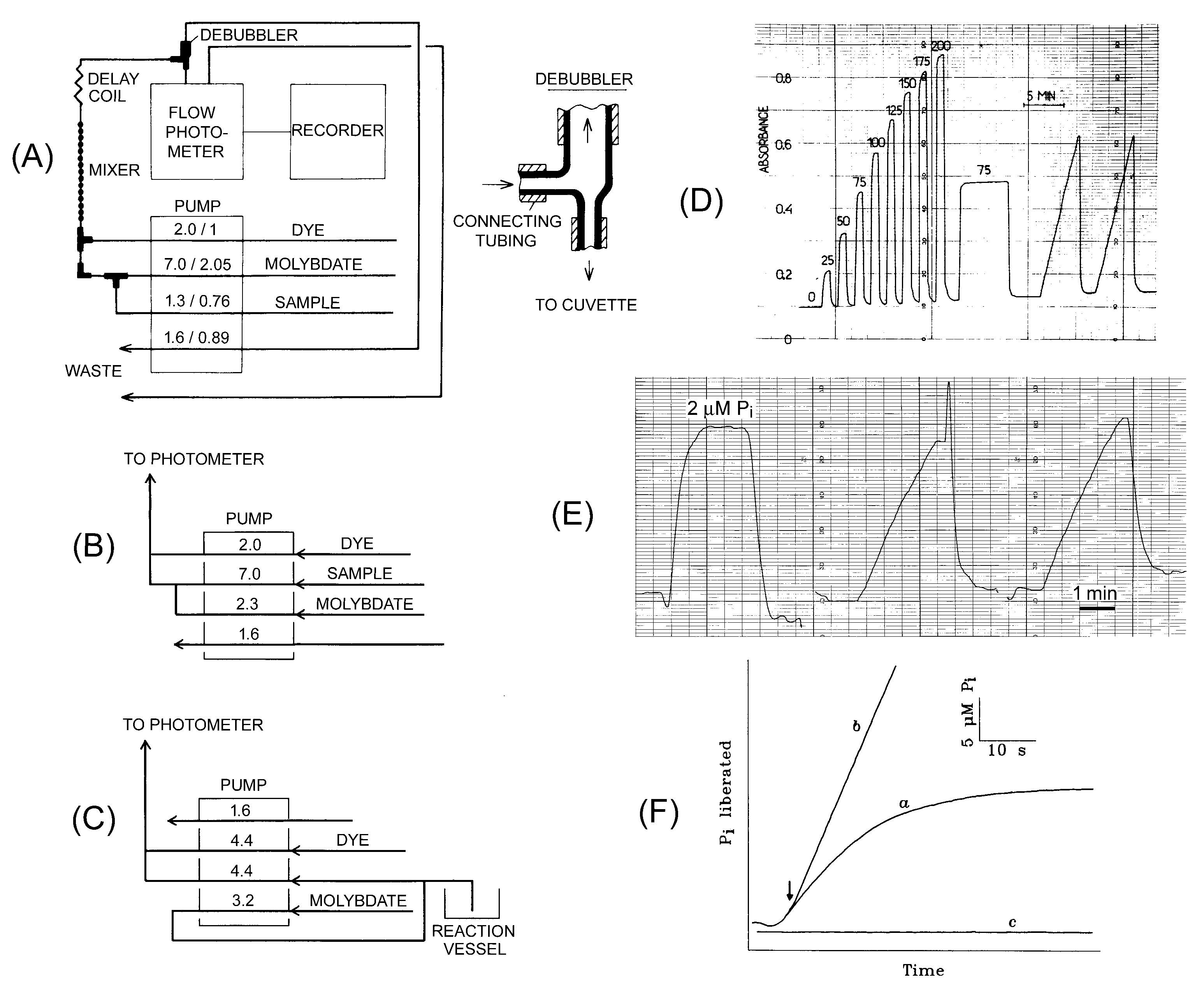 Molecules 26 02356 g001