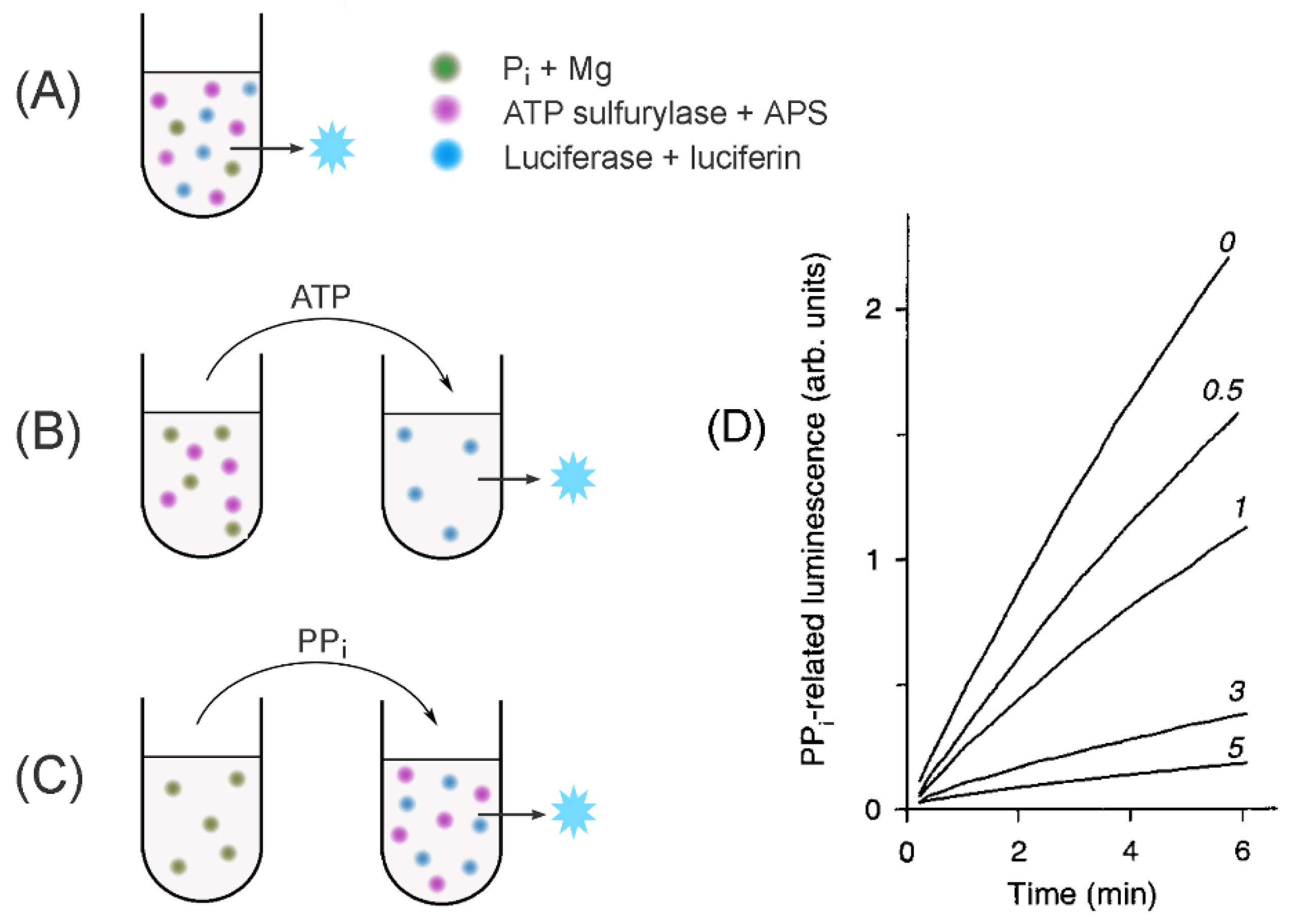 Molecules 26 02356 g003