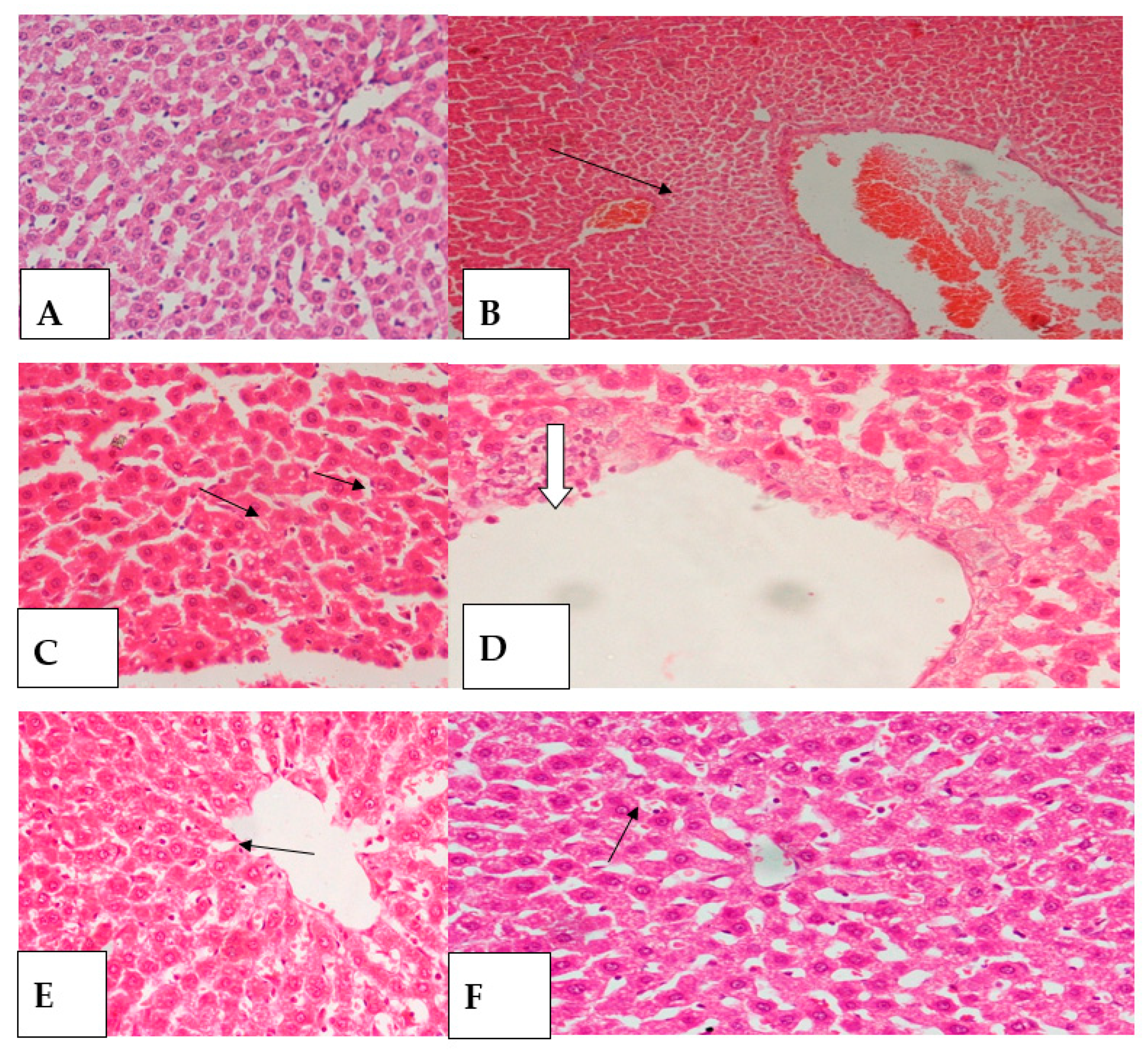 Molecules 26 02370 g004