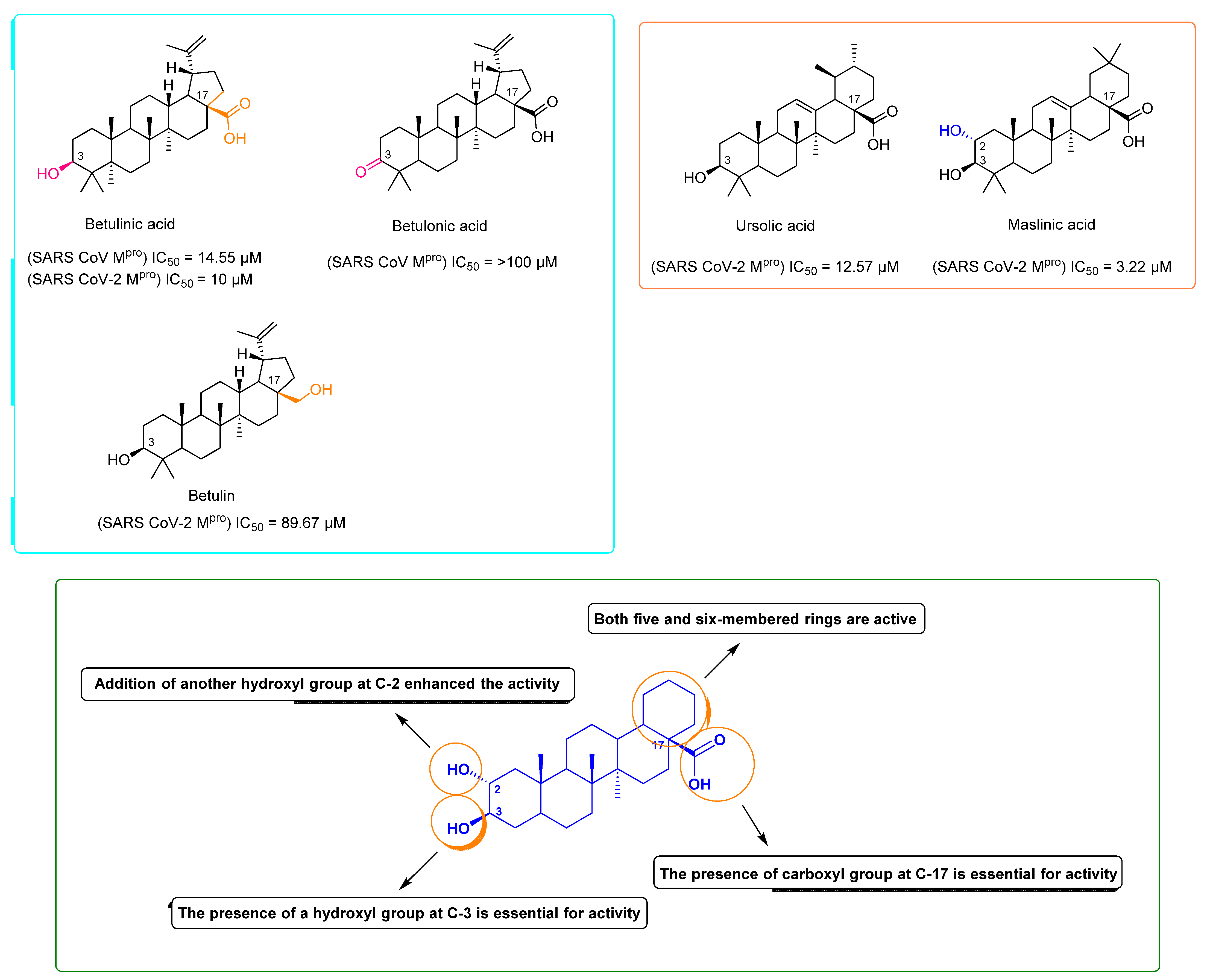 Molecules 26 02654 g003