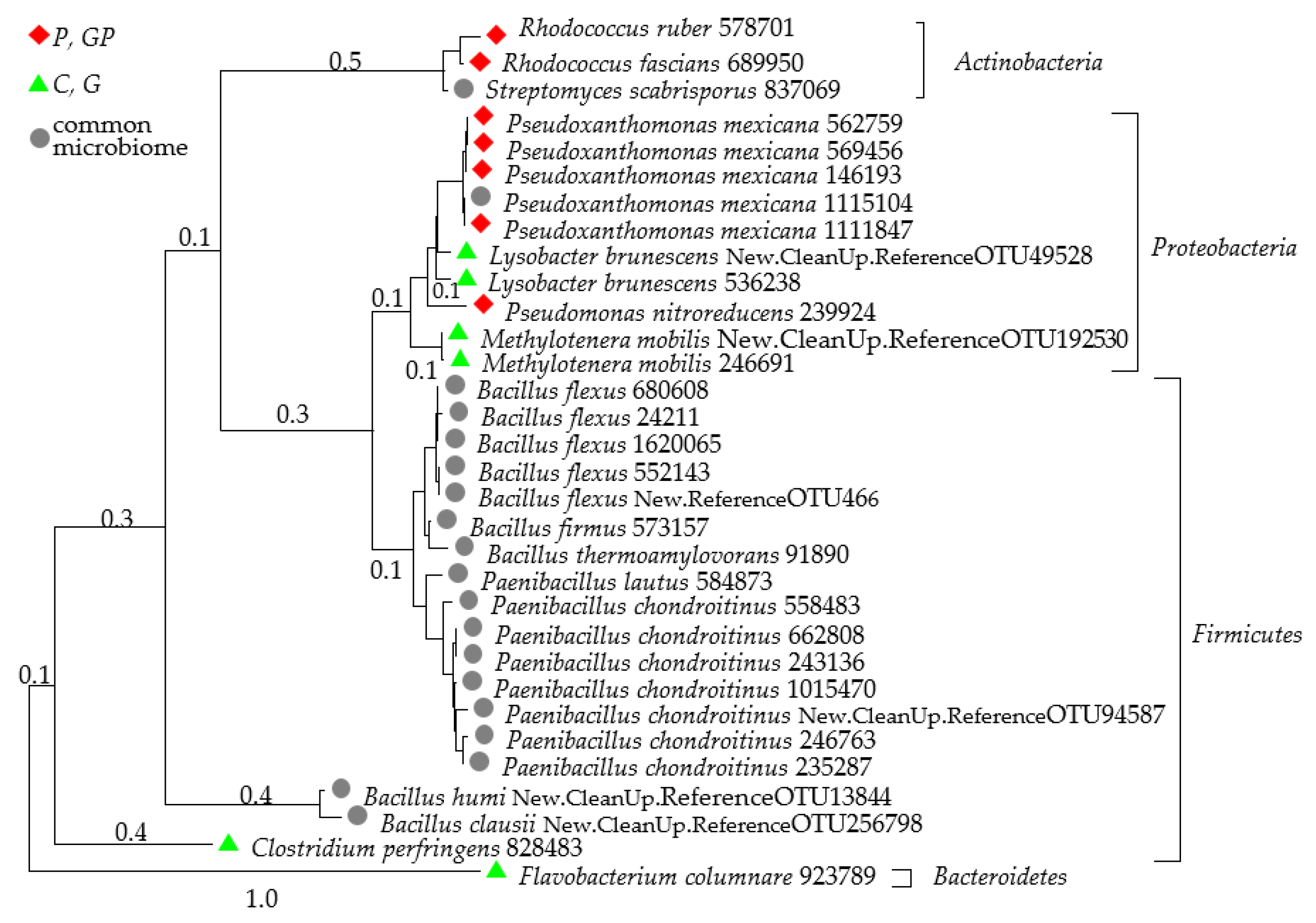 Molecules 26 02664 g006