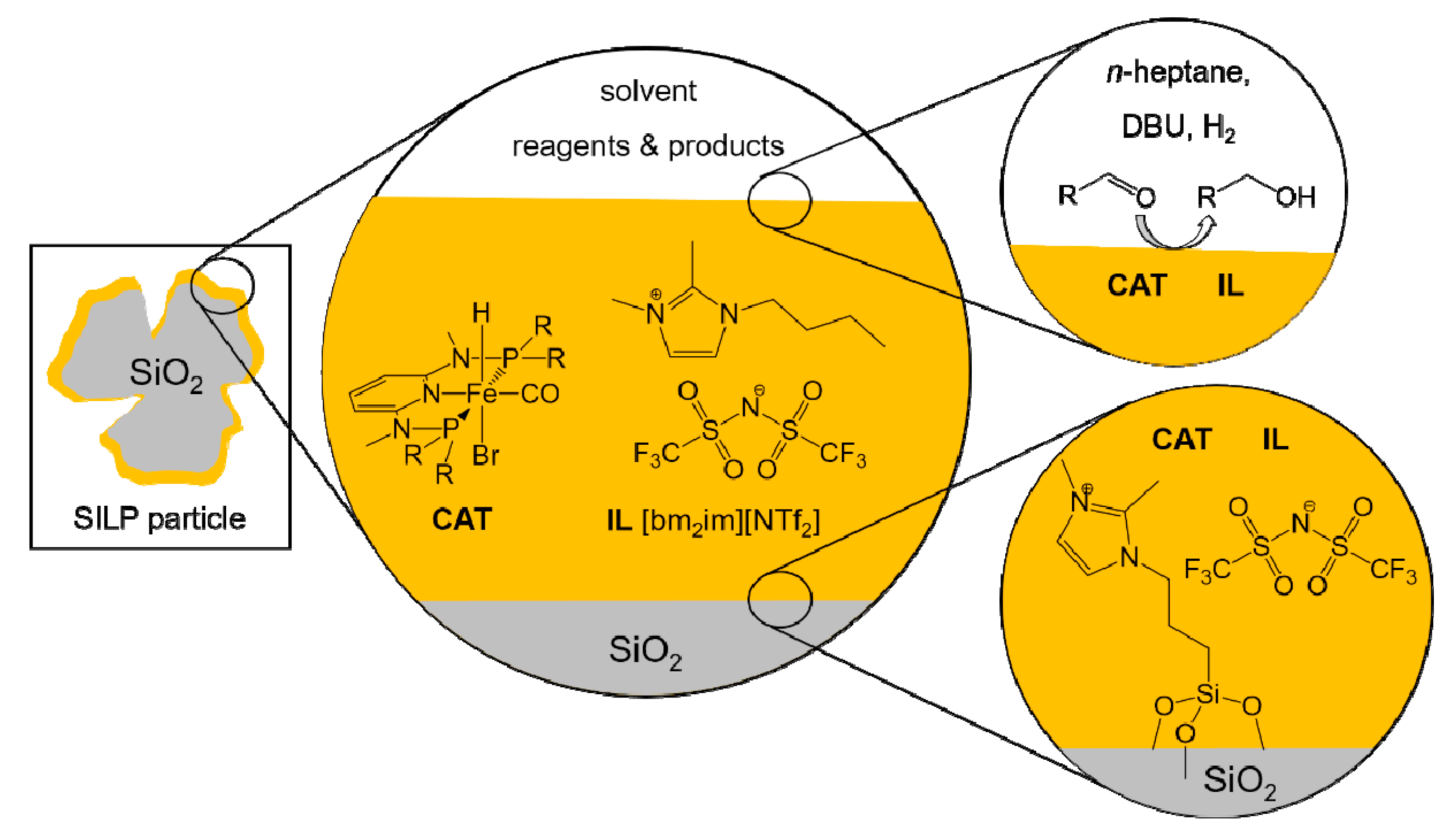 Molecules 26 02728 g017