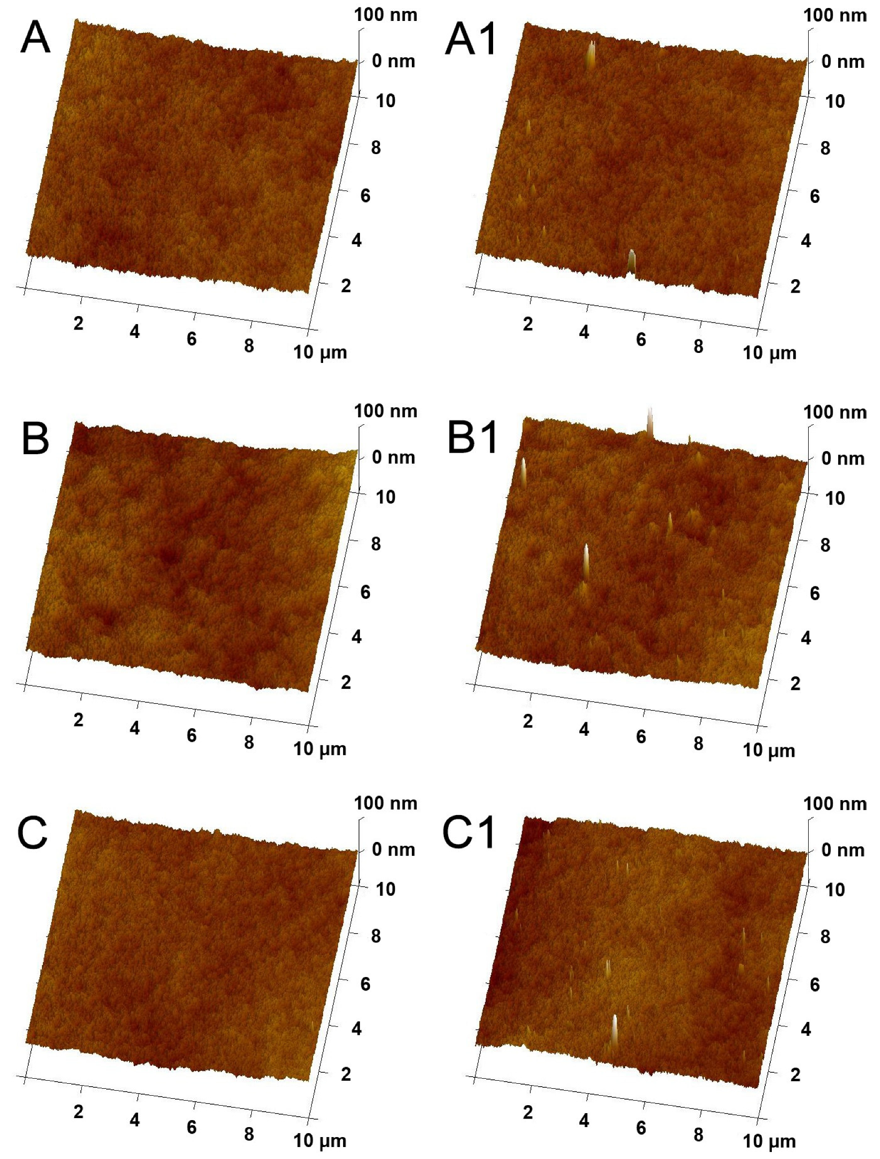 Molecules 26 02768 g003