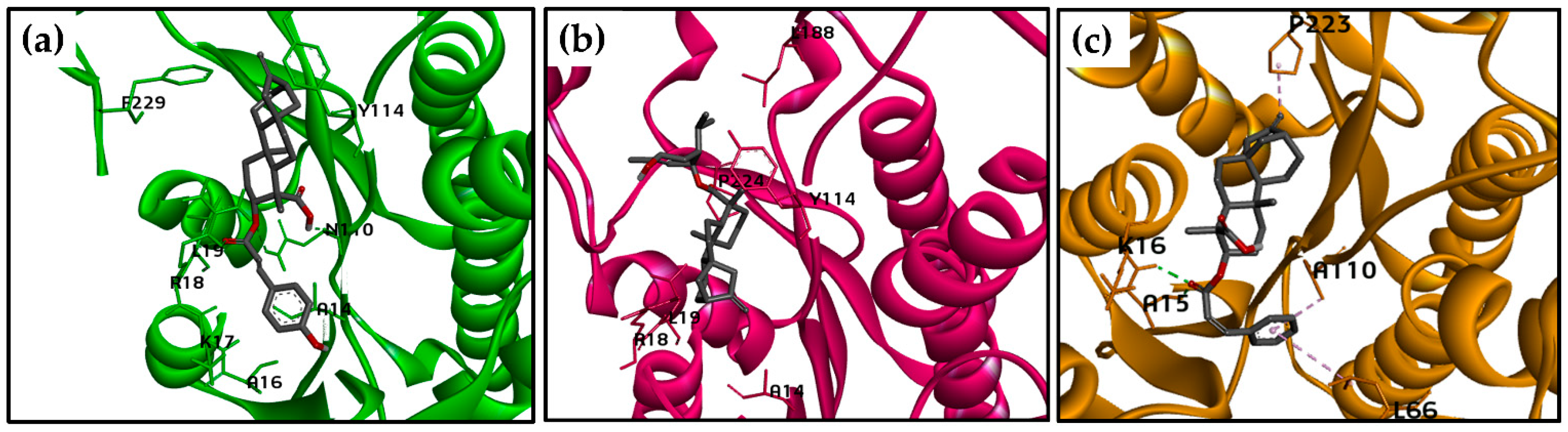 Molecules 26 03076 g005 Molecules 26 03076 g005