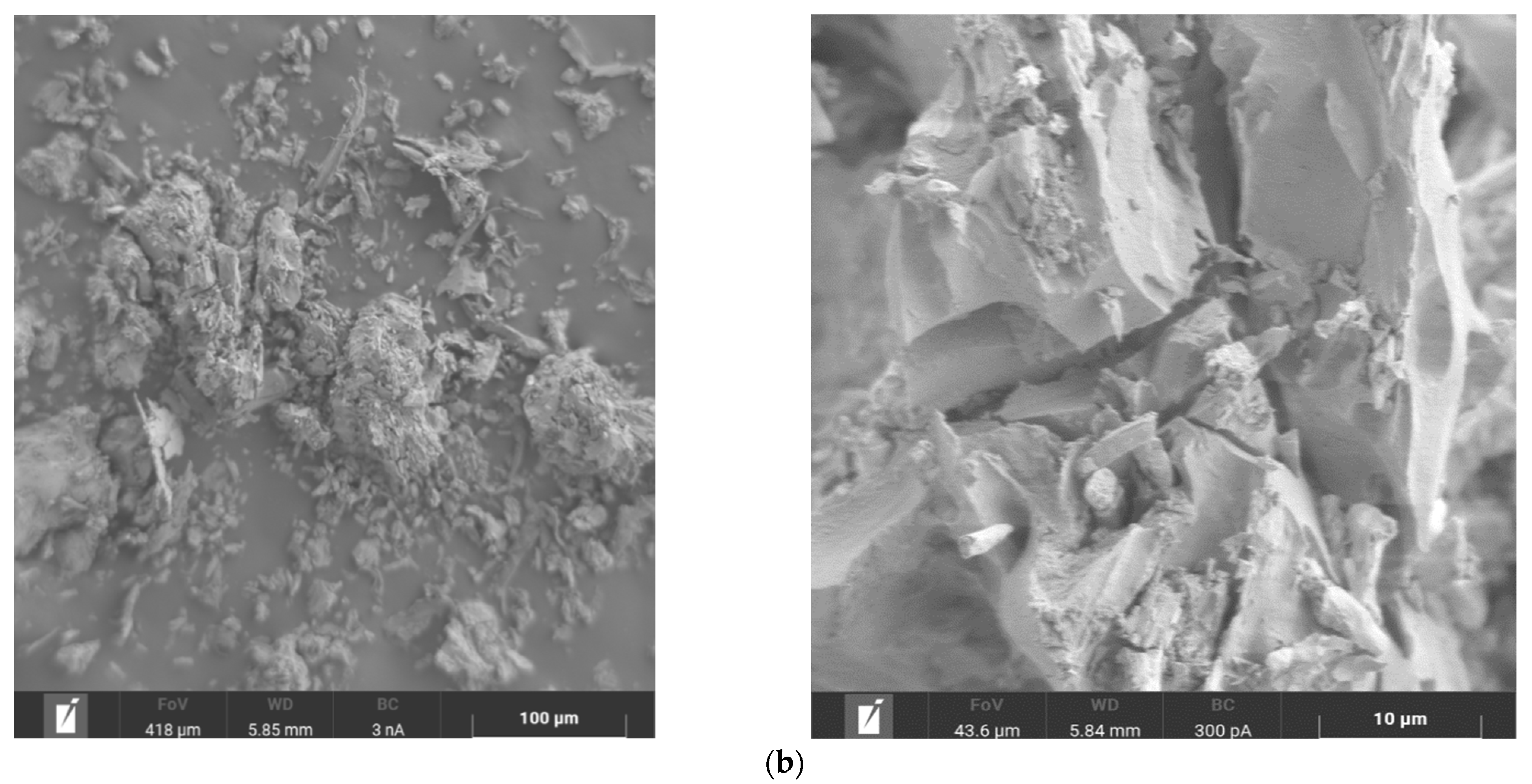 Molecules 26 03782 g002b