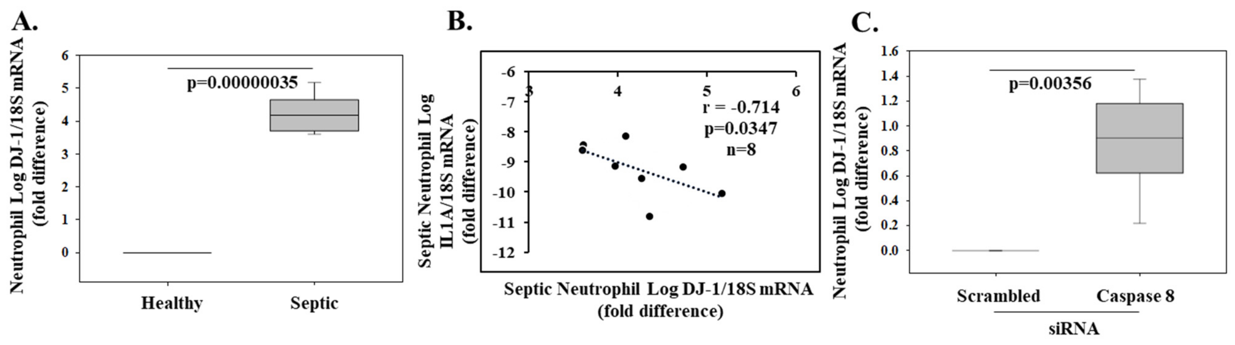 Molecules 26 03795 g002