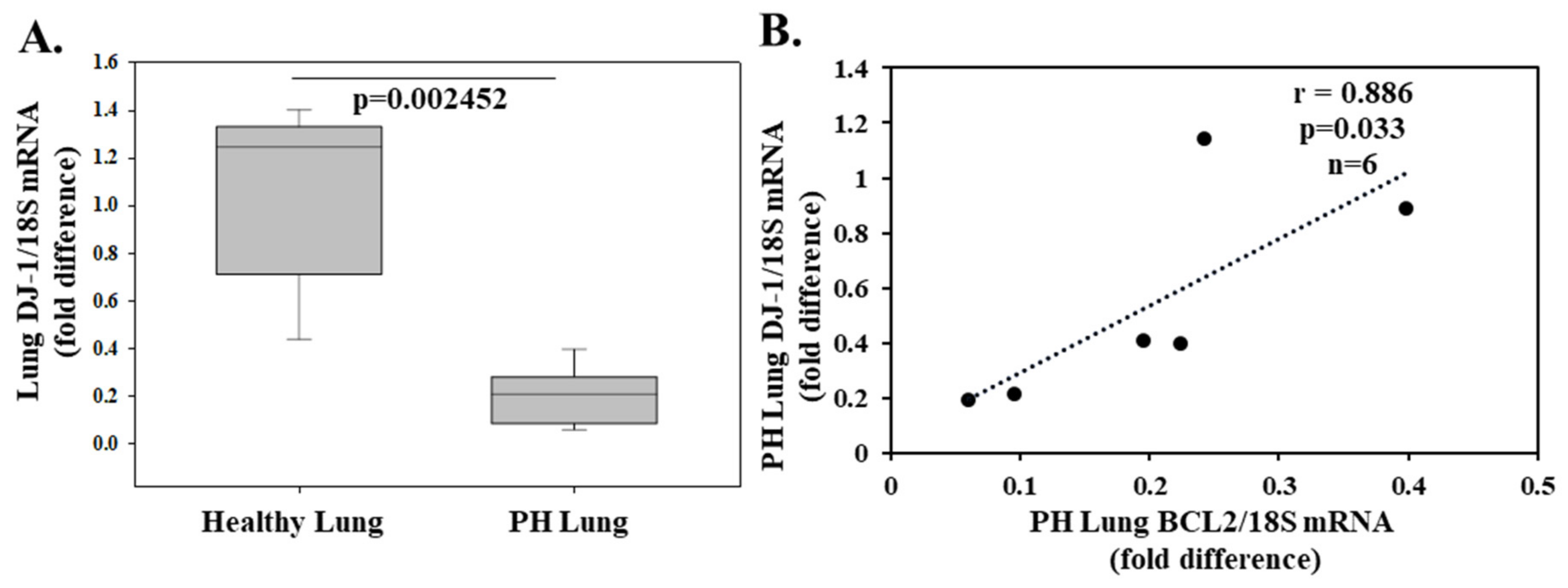 Molecules 26 03795 g003