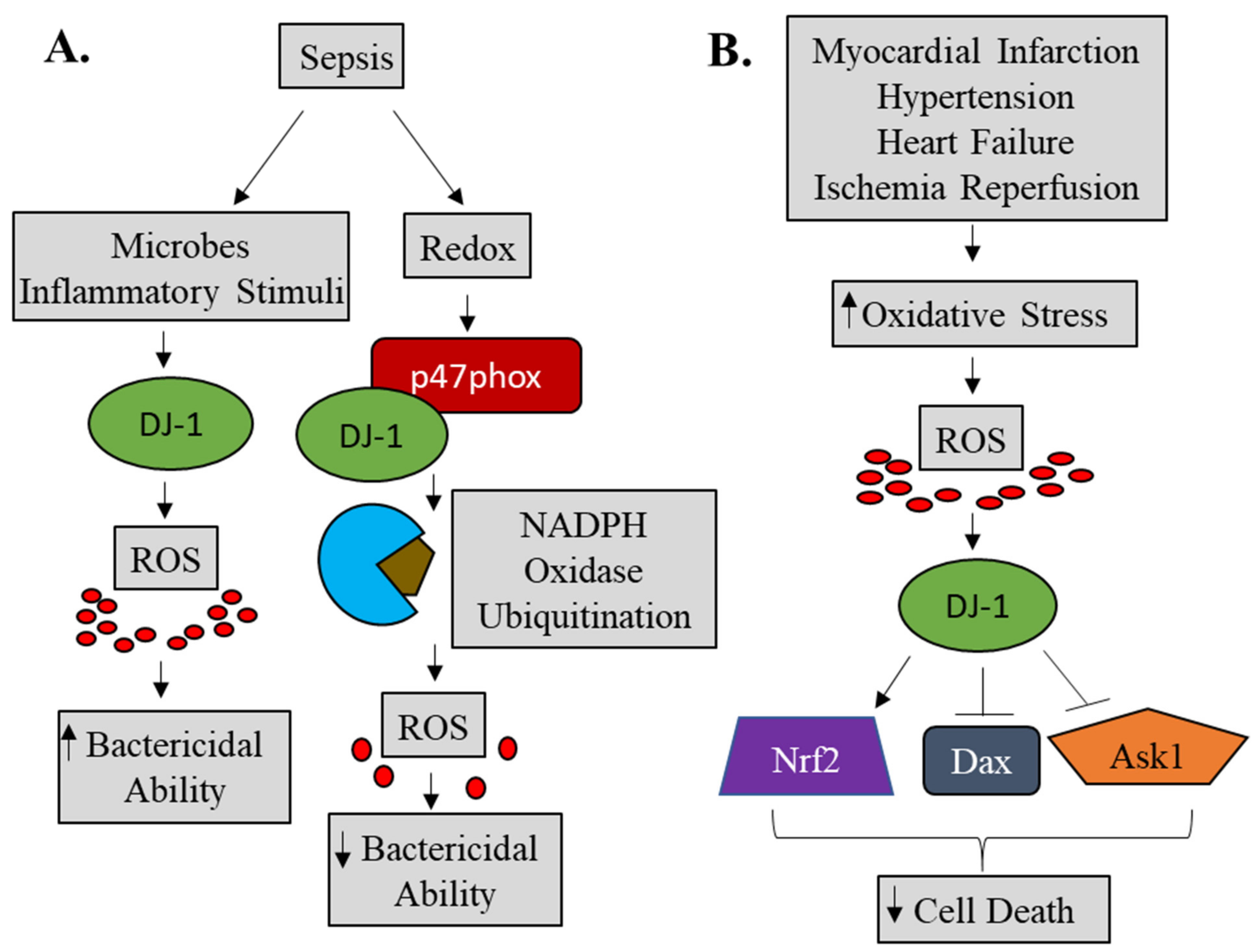 Molecules 26 03795 g006