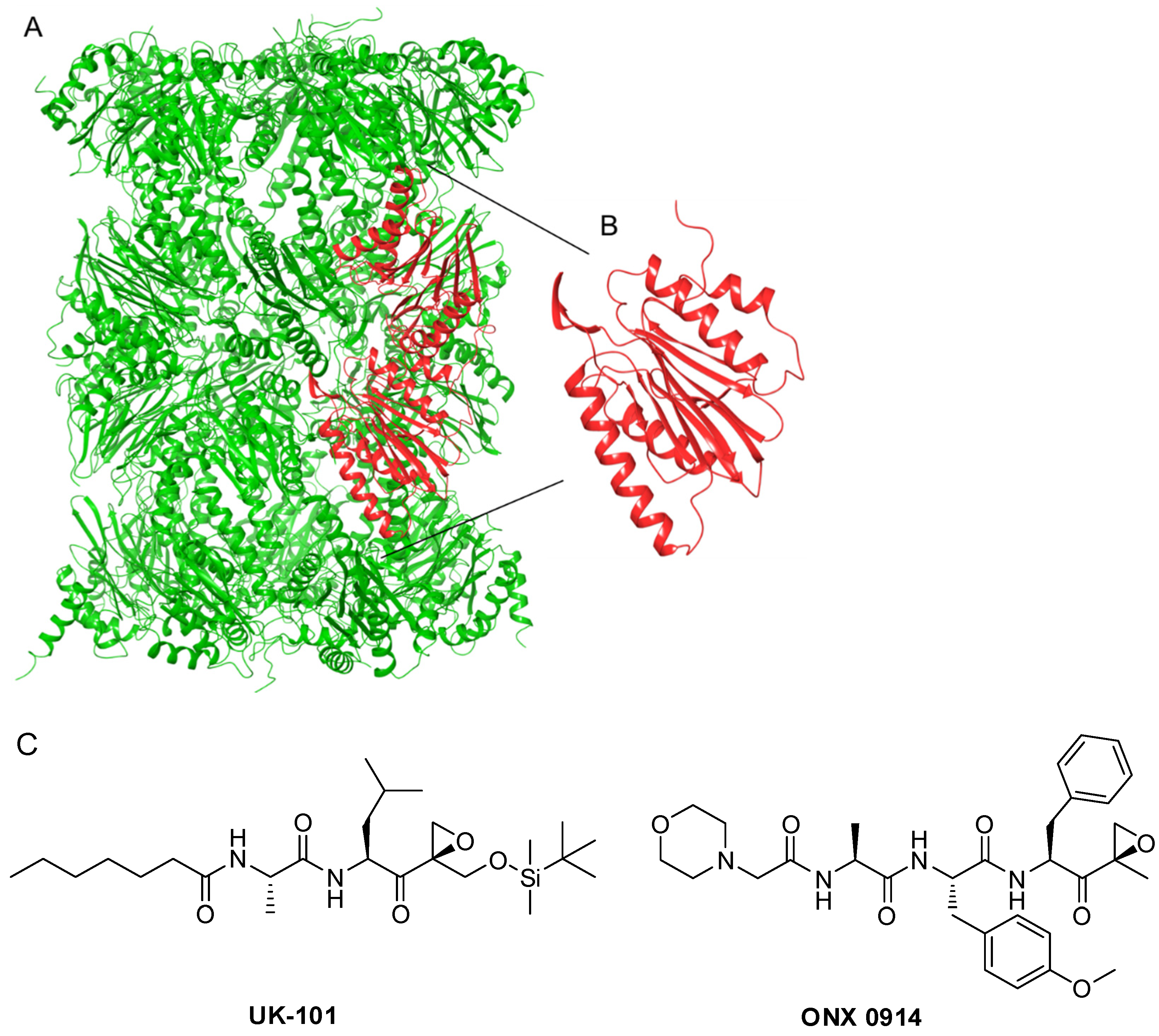 Molecules 26 04046 g002
