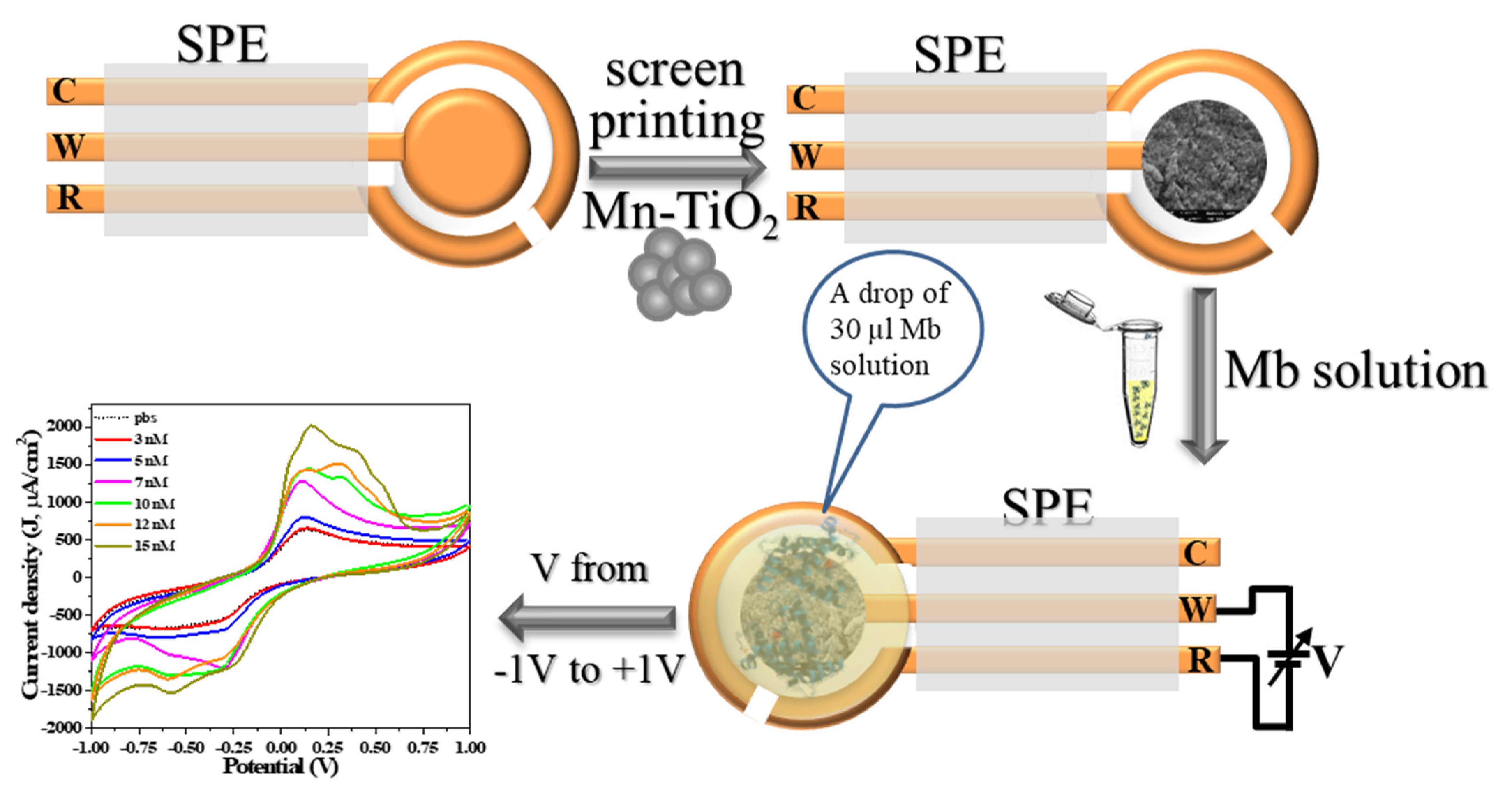 Molecules 26 04252 g001