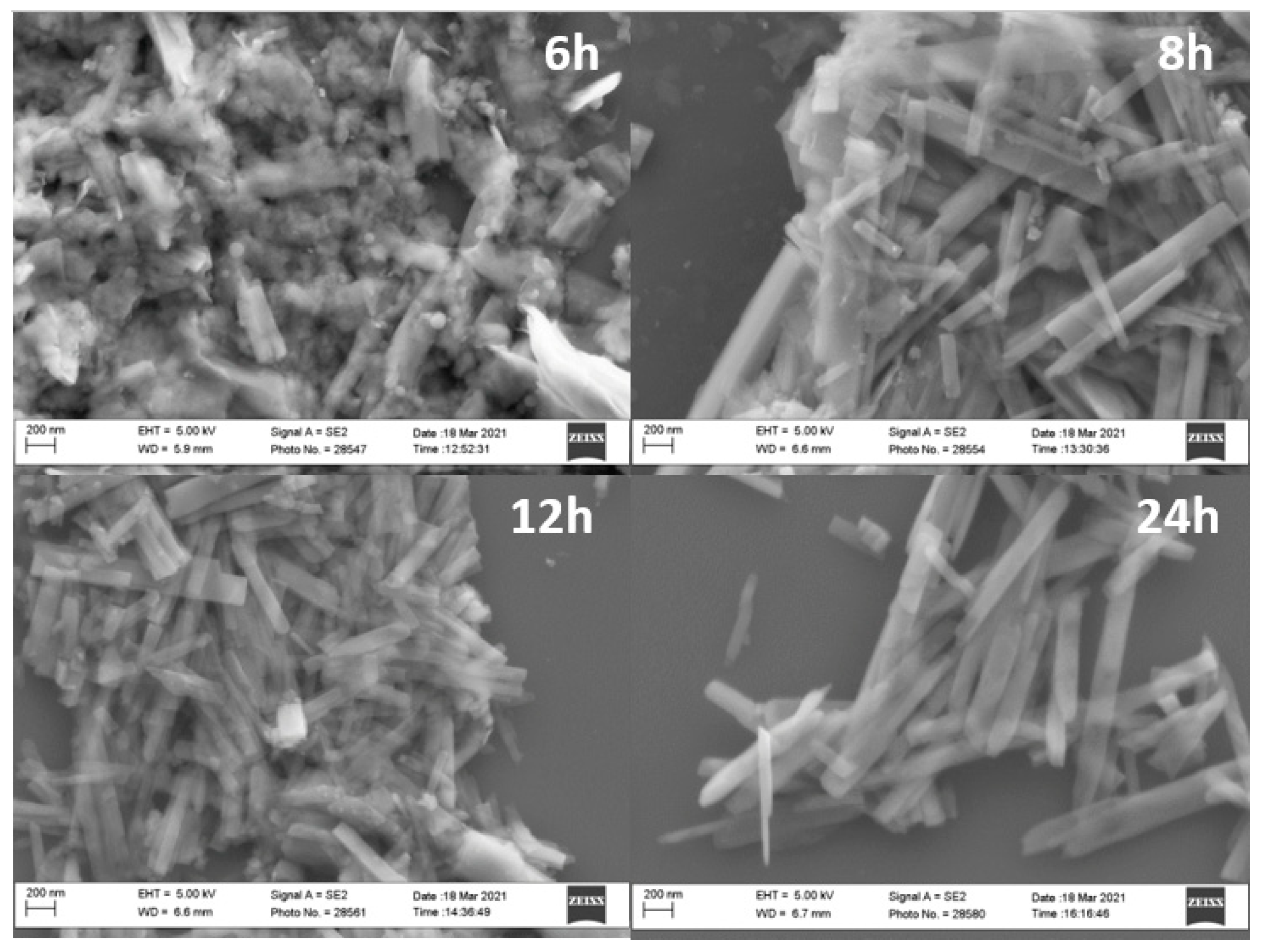 Molecules 26 04513 g002