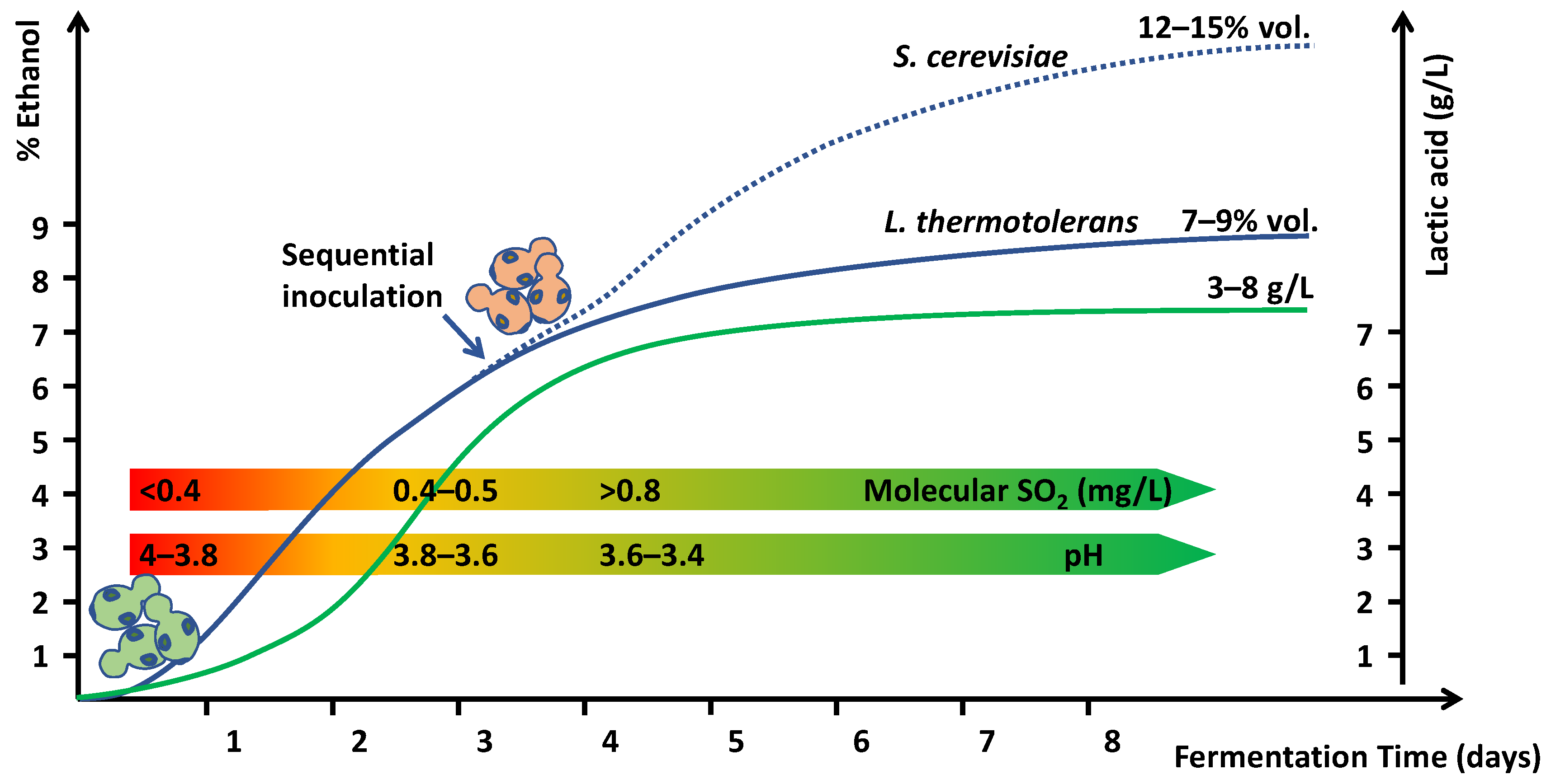 Molecules 26 04571 g002