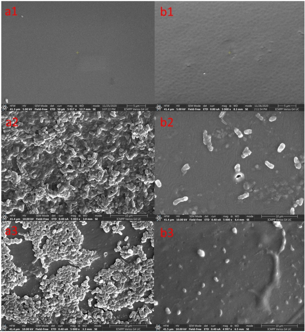 Molecules 26 04892 g008