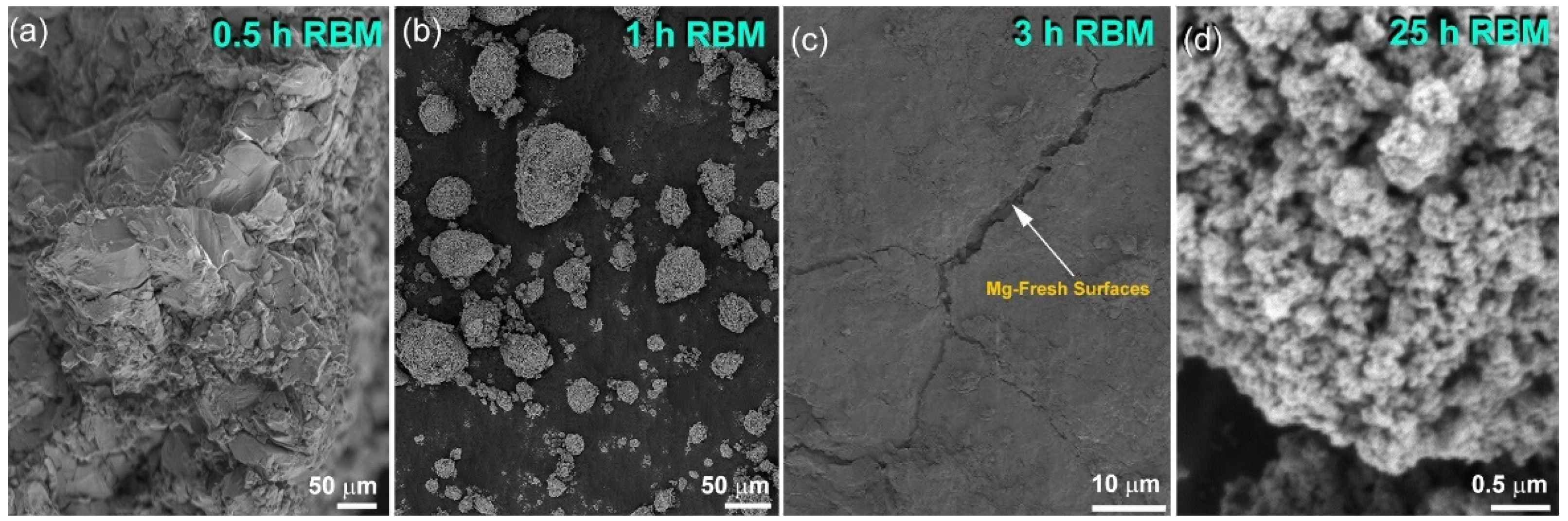 Molecules 26 04962 g002
