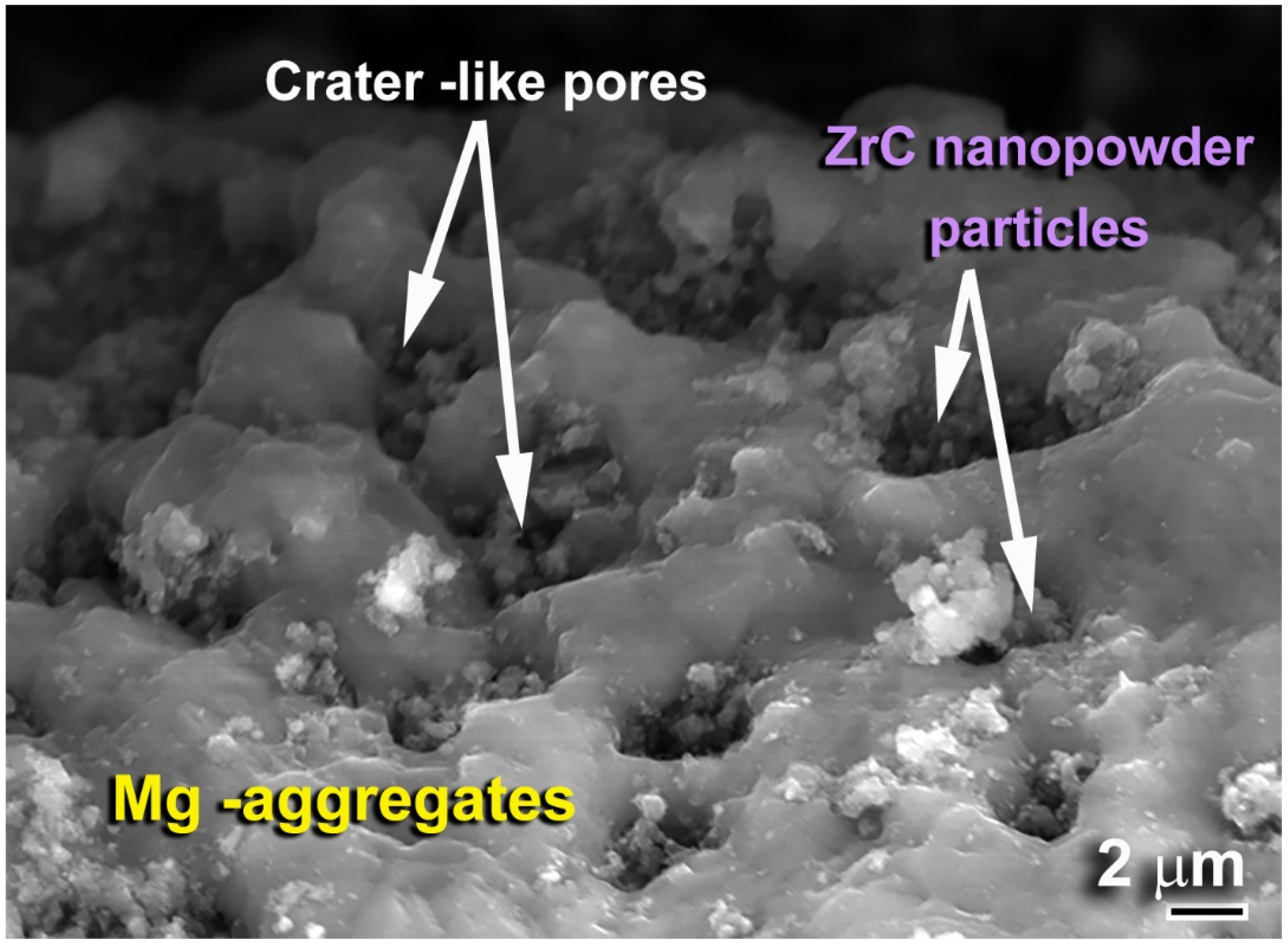 Molecules 26 04962 g015