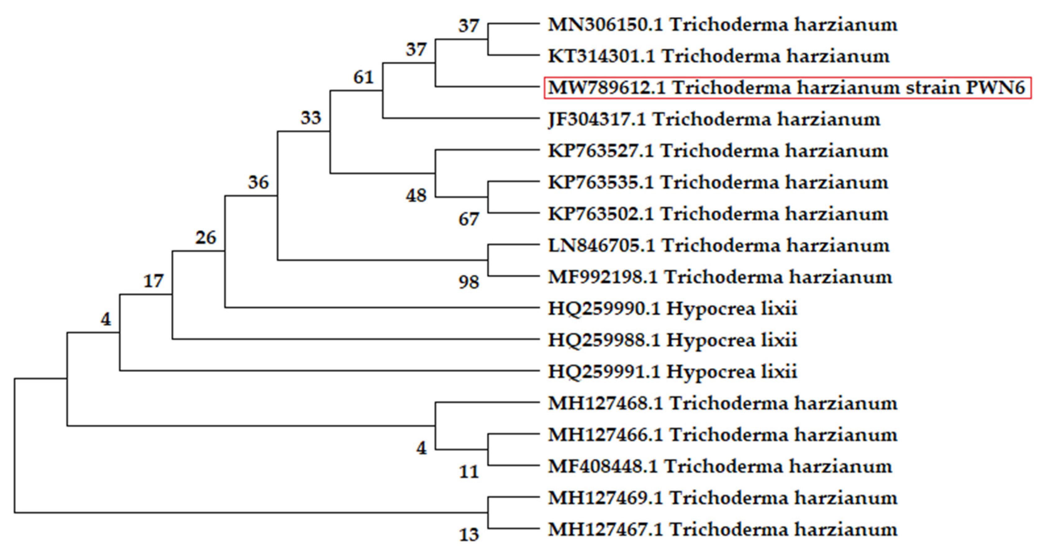 Molecules 26 05048 g011
