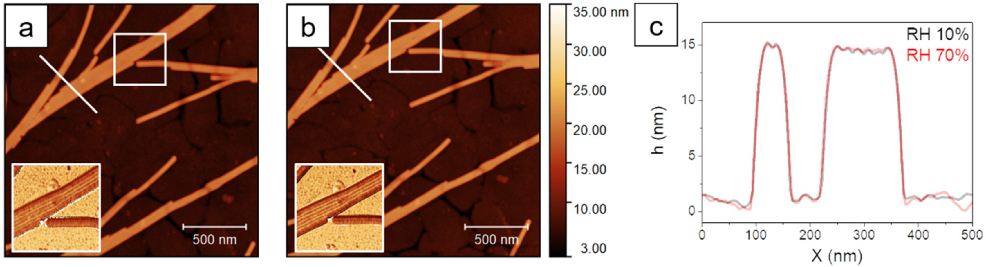 Molecules 26 05184 g001