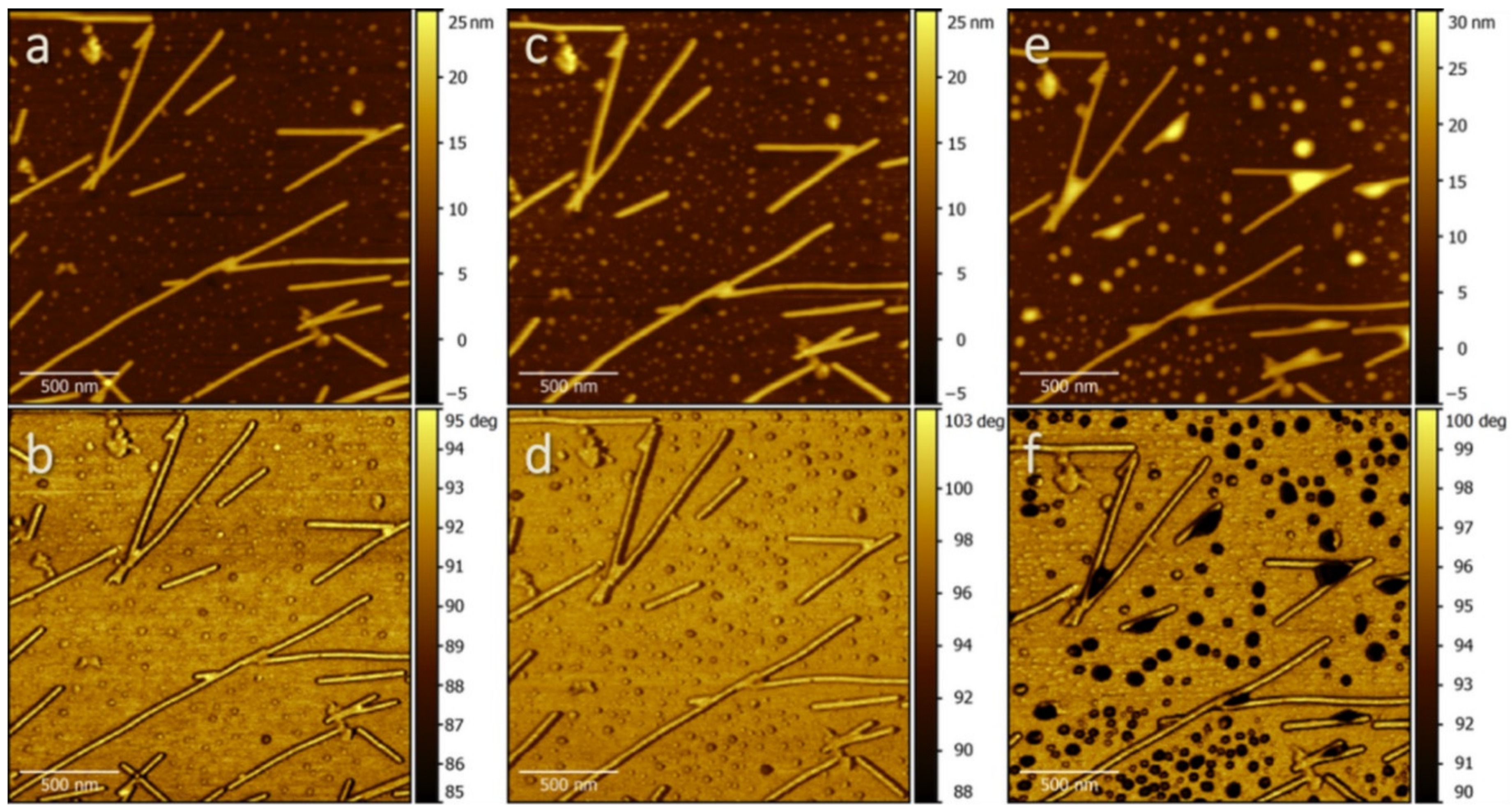 Molecules 26 05184 g002