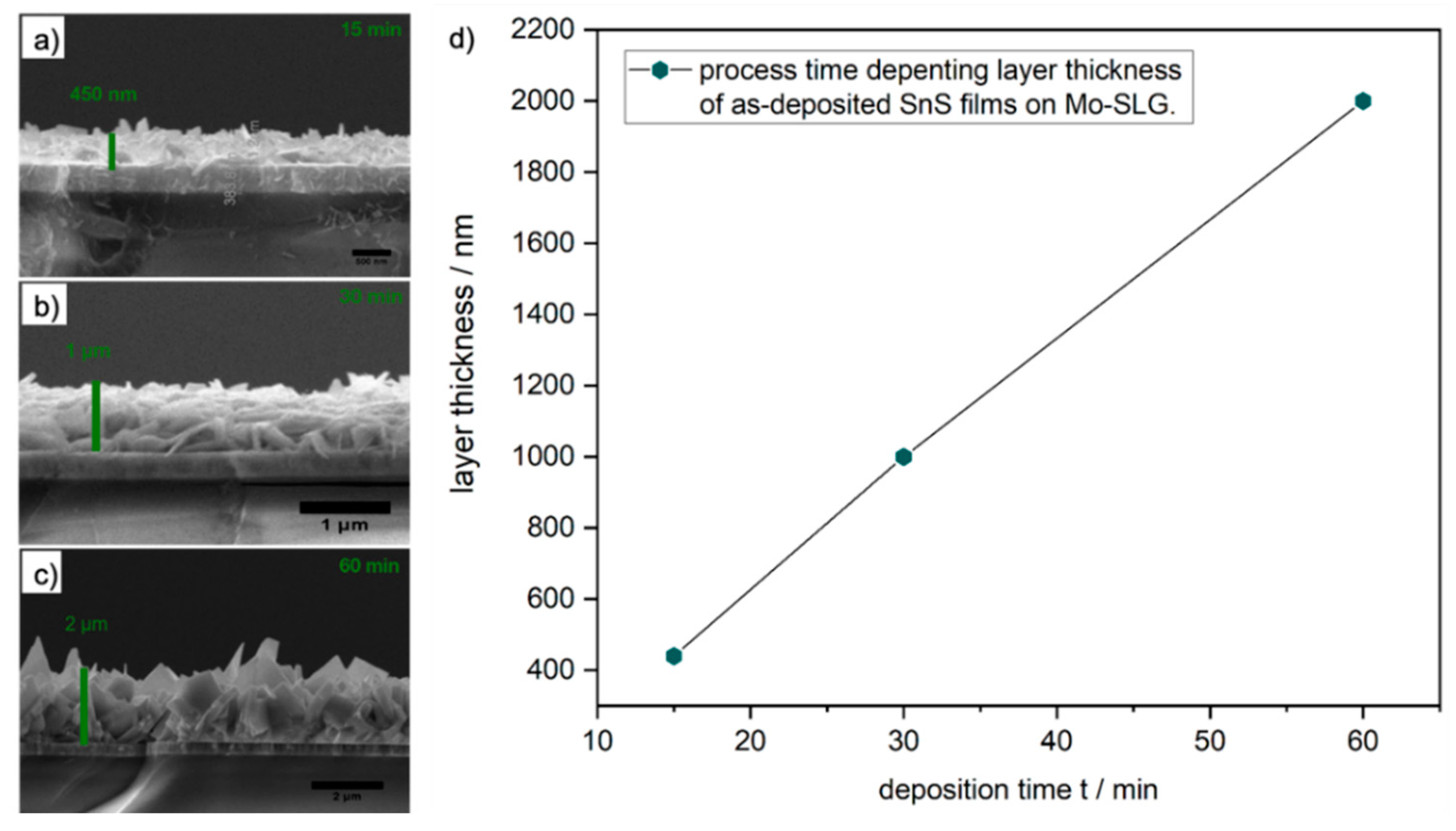 Molecules 26 05367 g008