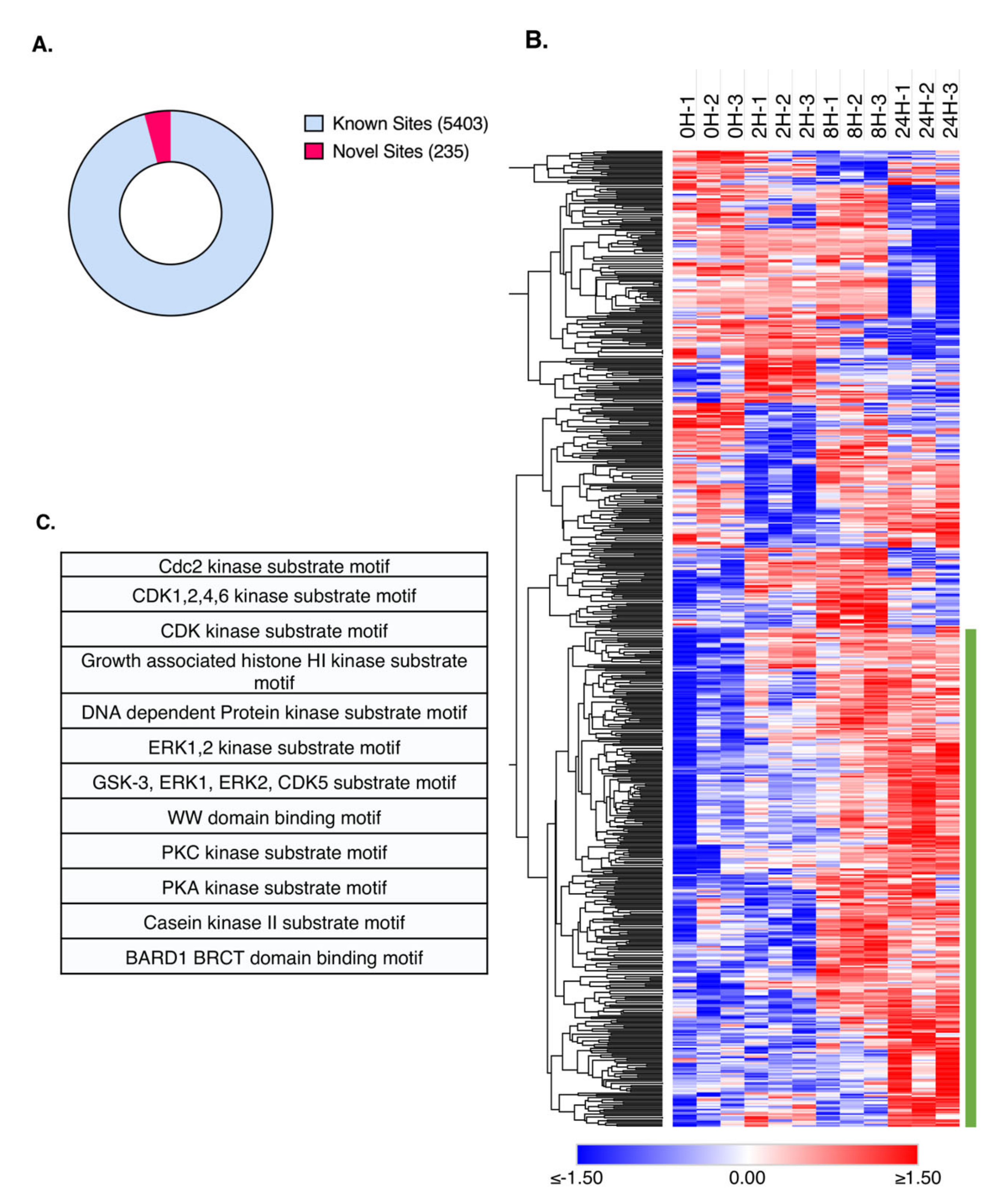 Molecules 26 05472 g004