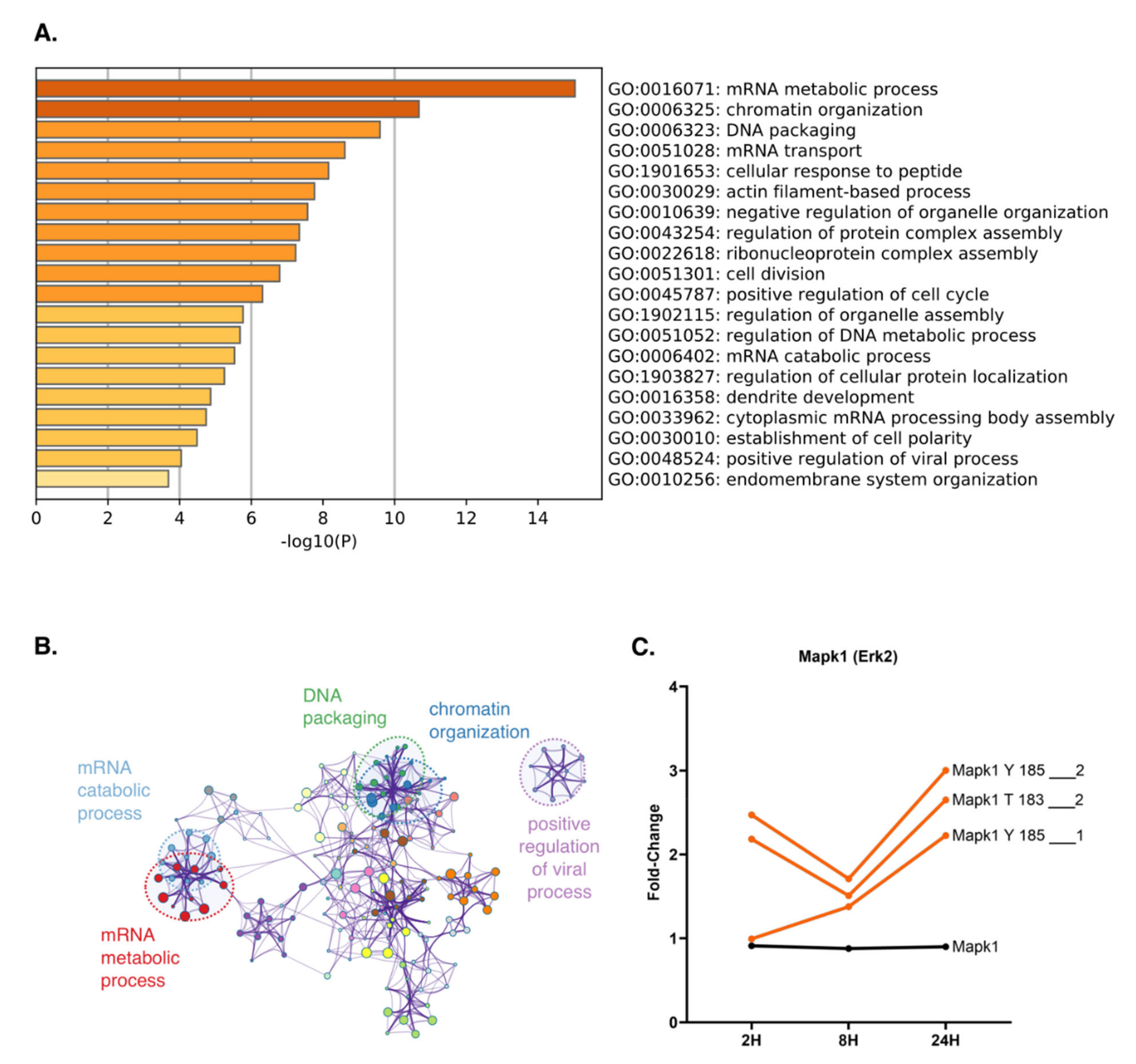 Molecules 26 05472 g005