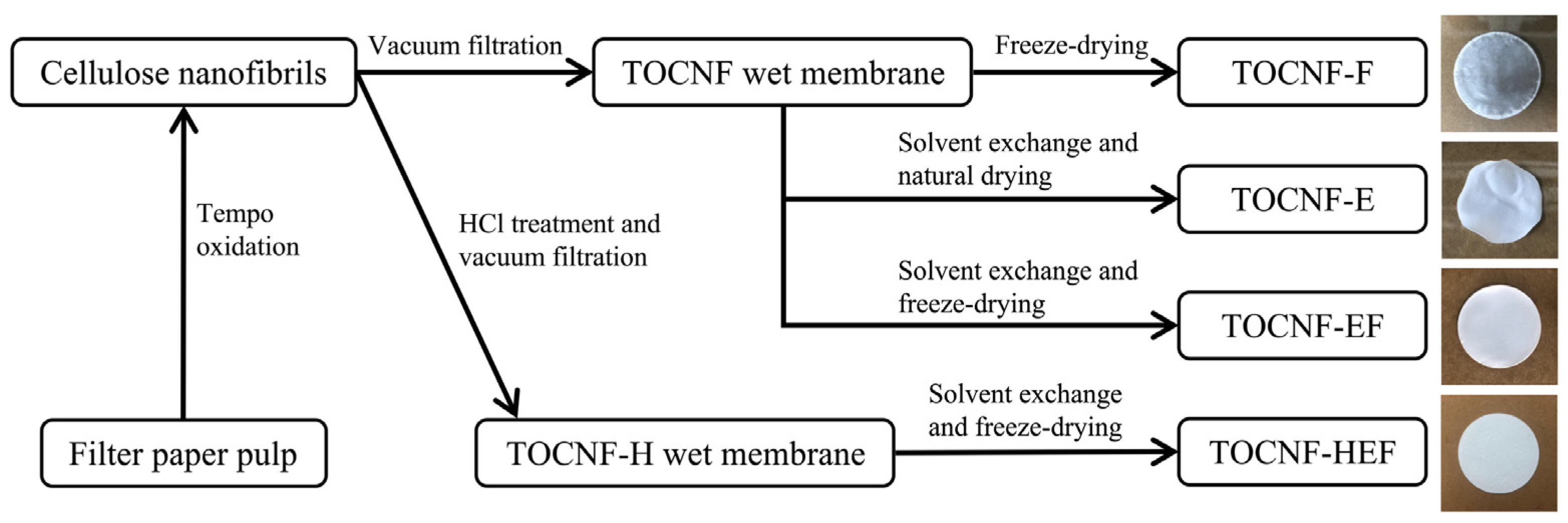 Molecules 26 05539 g001