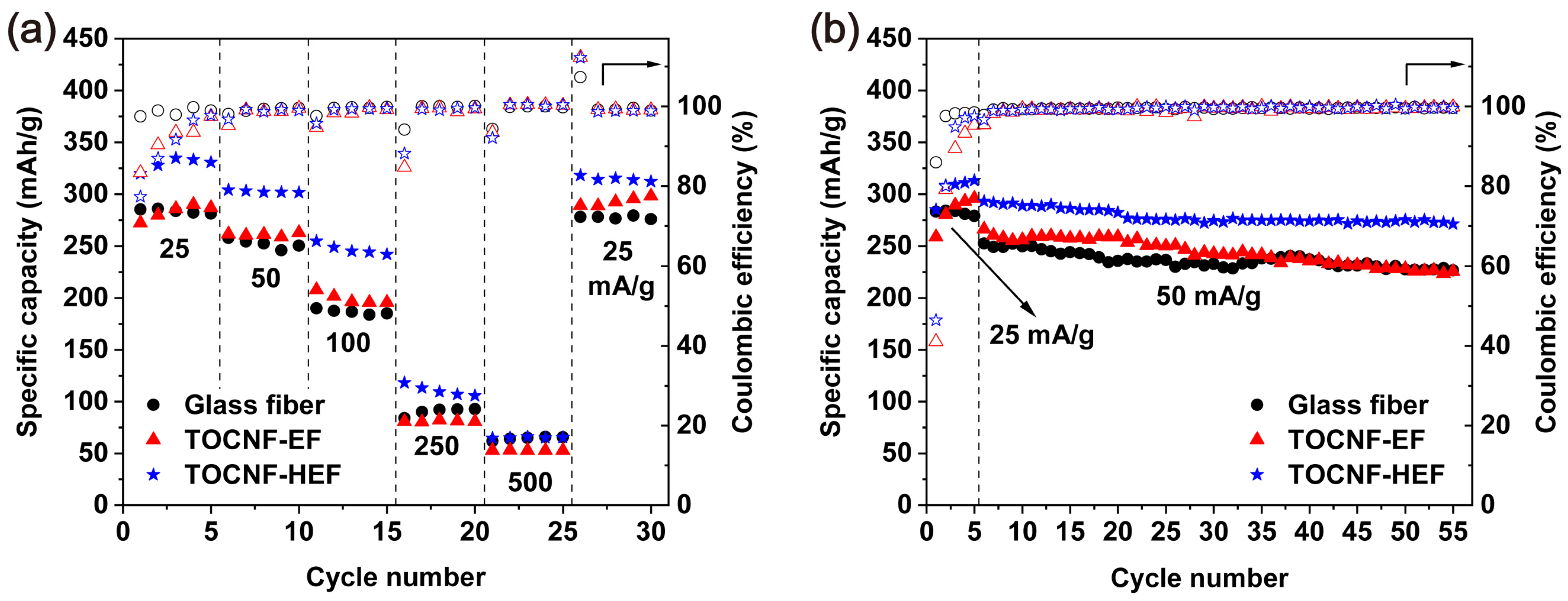 Molecules 26 05539 g006