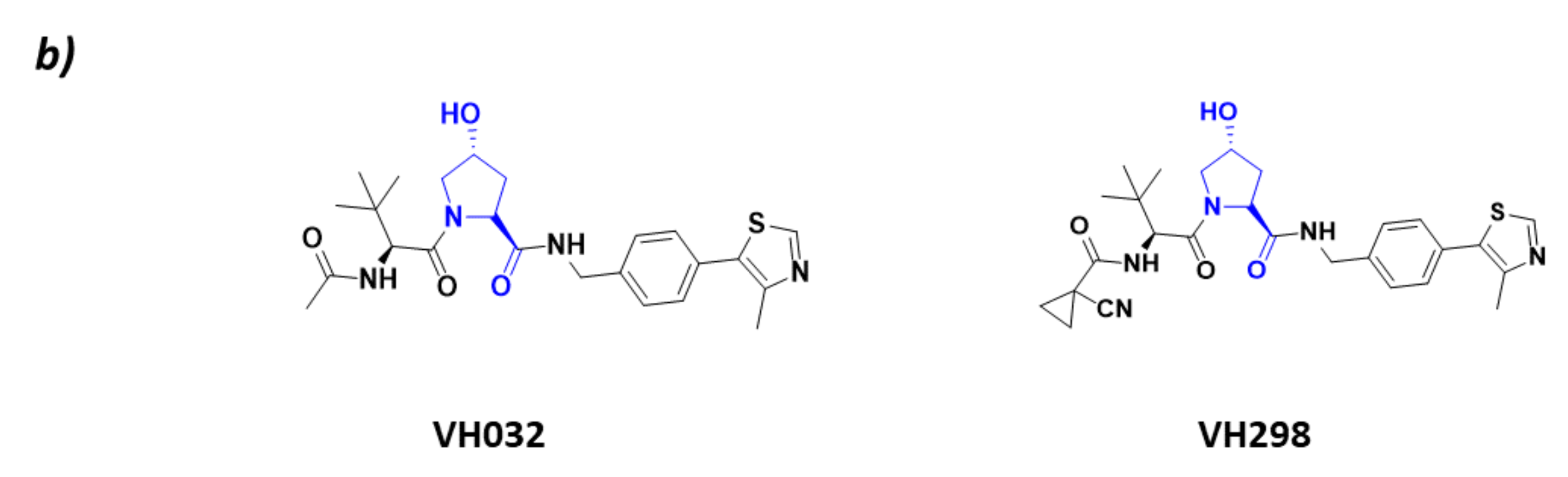 Molecules 26 05606 g004b