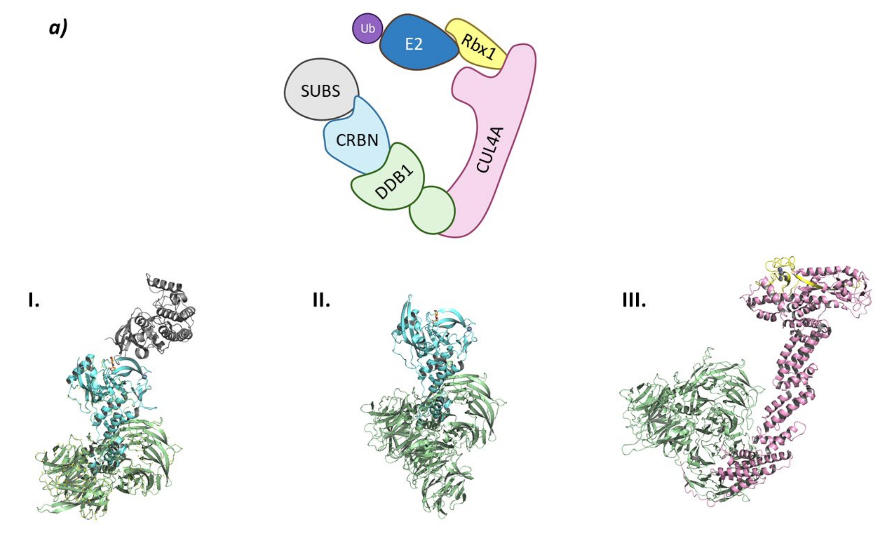 Molecules 26 05606 g005a