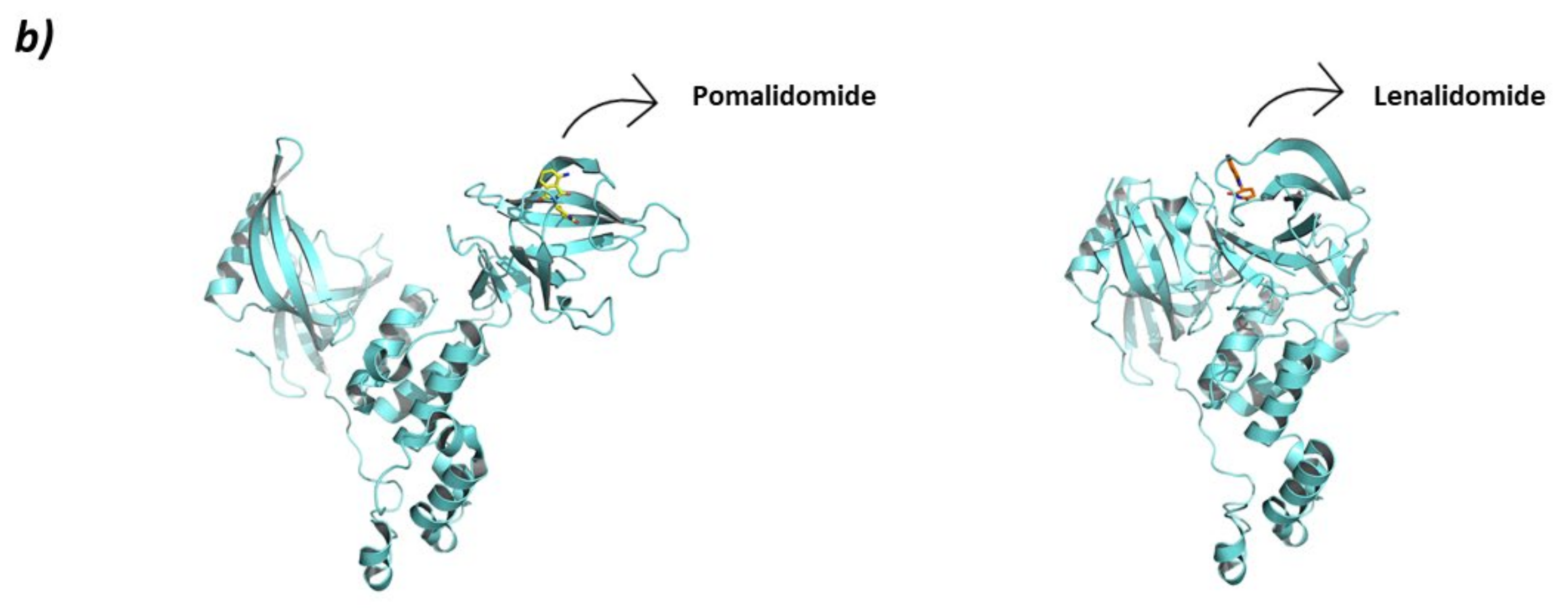 Molecules 26 05606 g005b