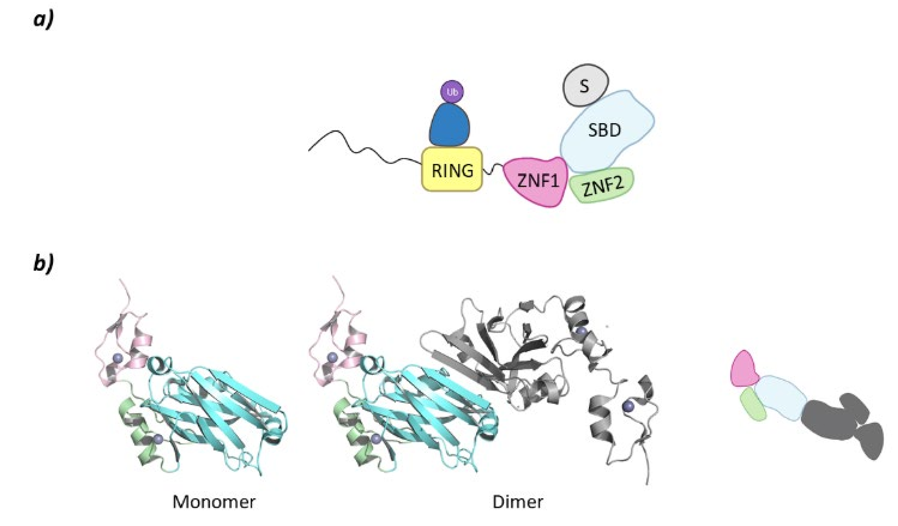 Molecules 26 05606 g009