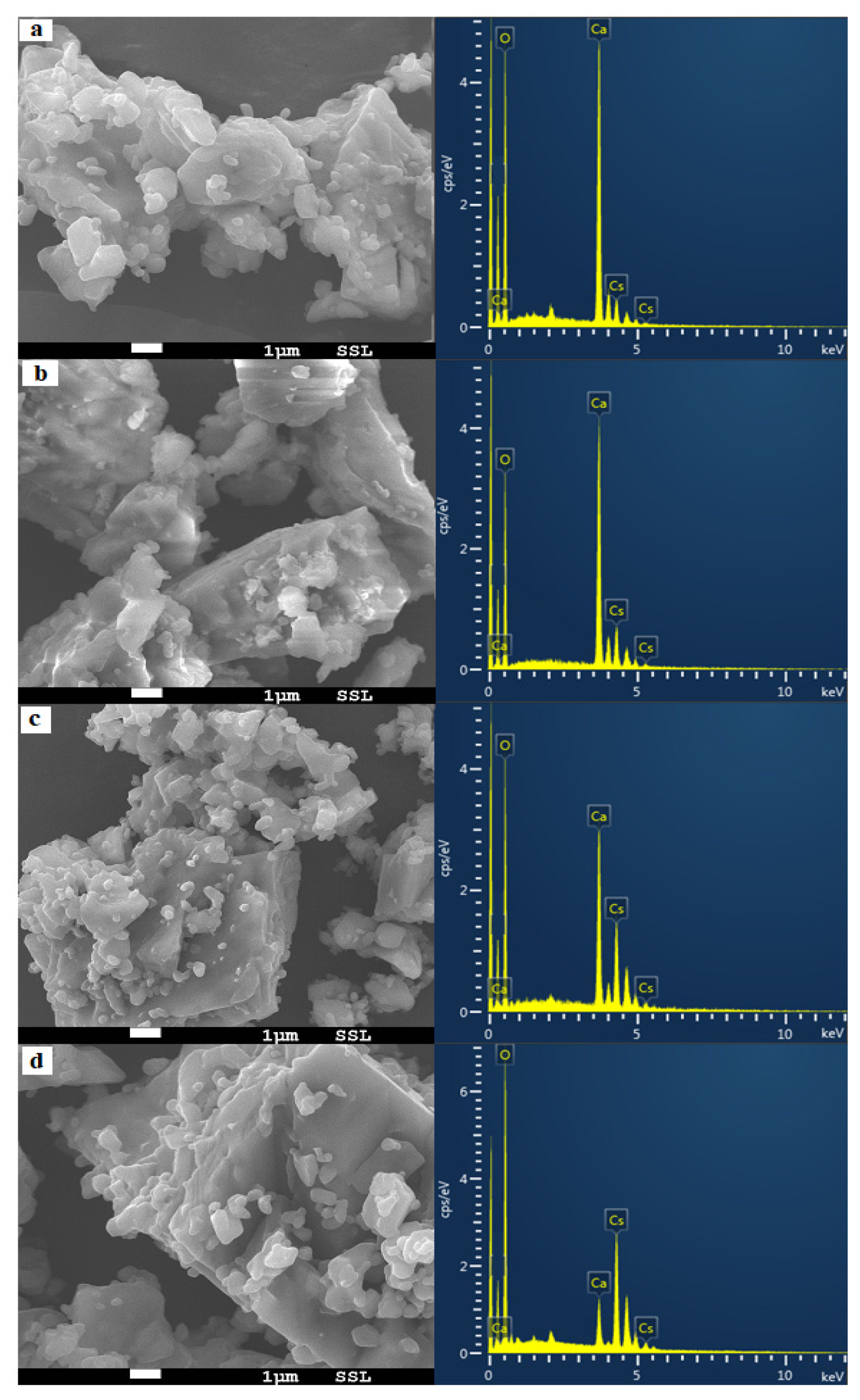 Molecules 26 05772 g002