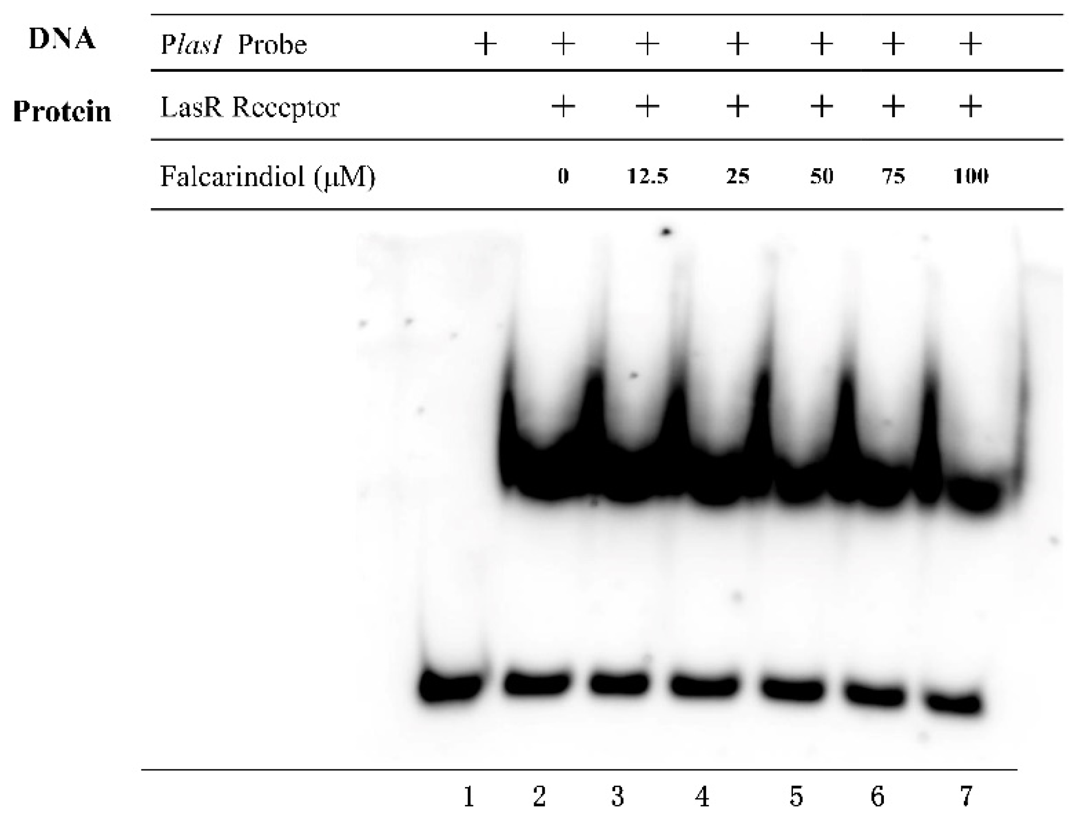 Molecules 26 05896 g004
