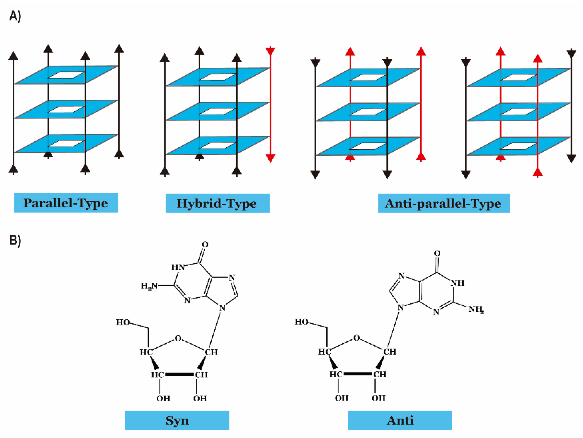 Molecules 26 06164 g002