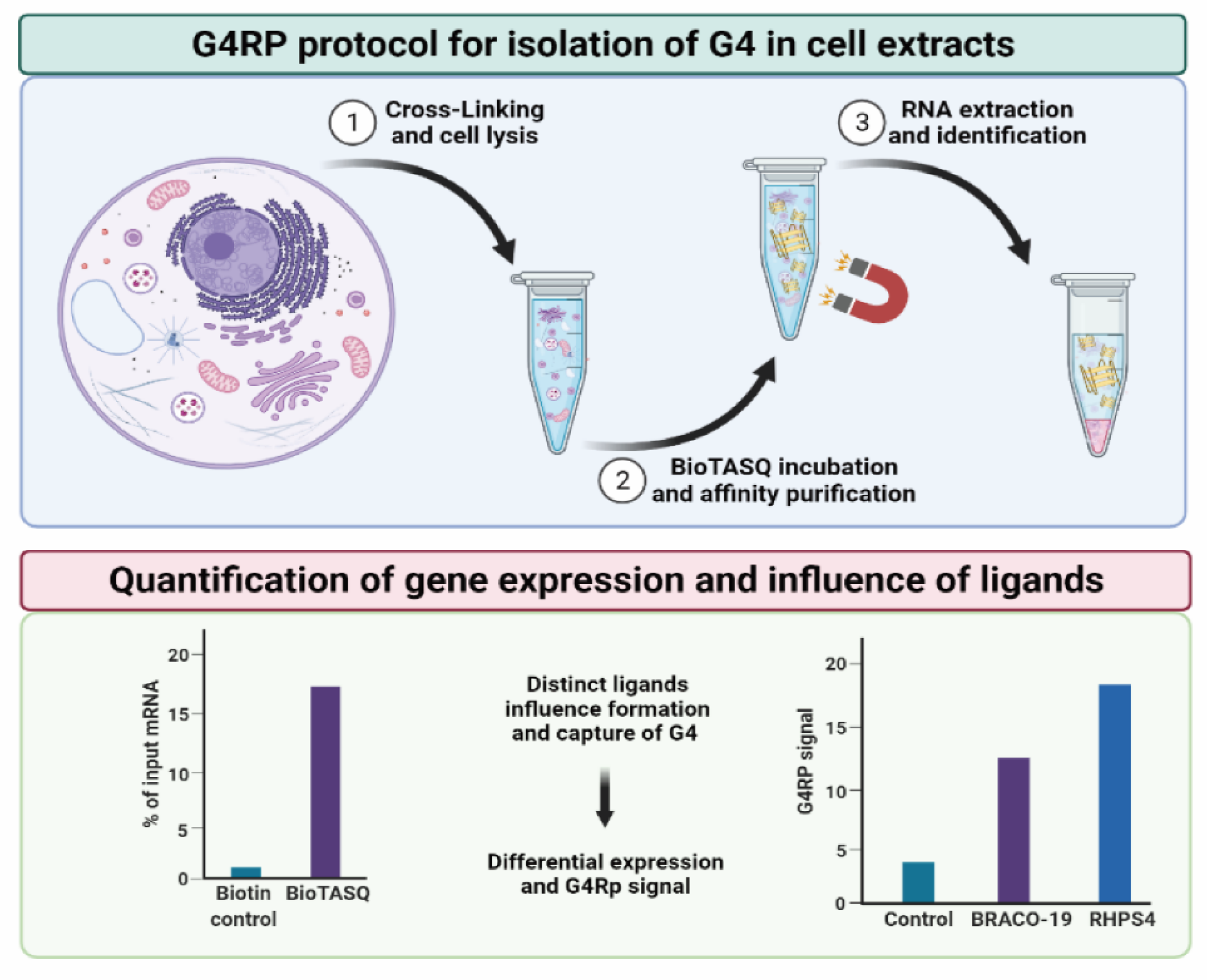 Molecules 26 06164 g003