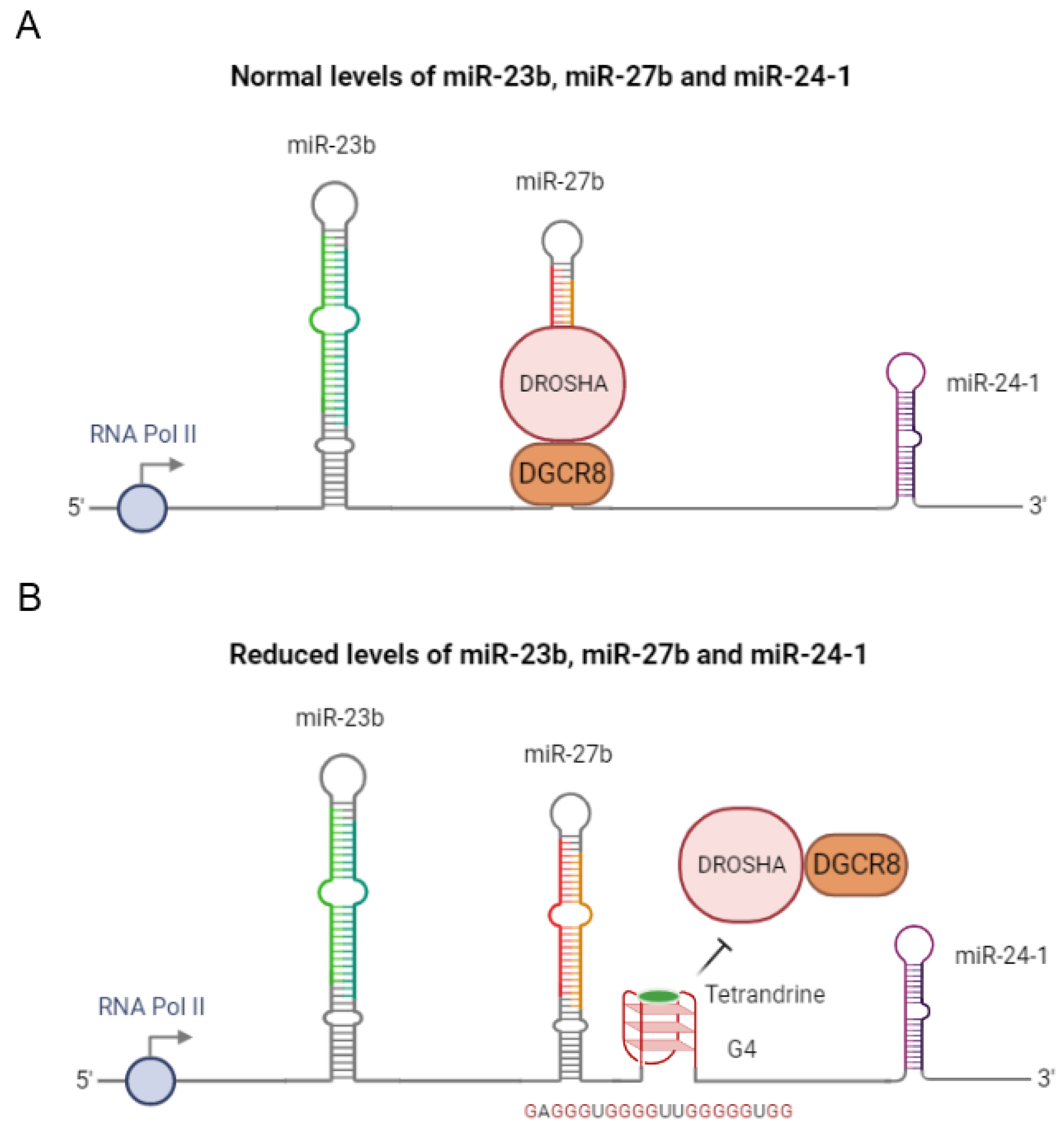 Molecules 26 06164 g005