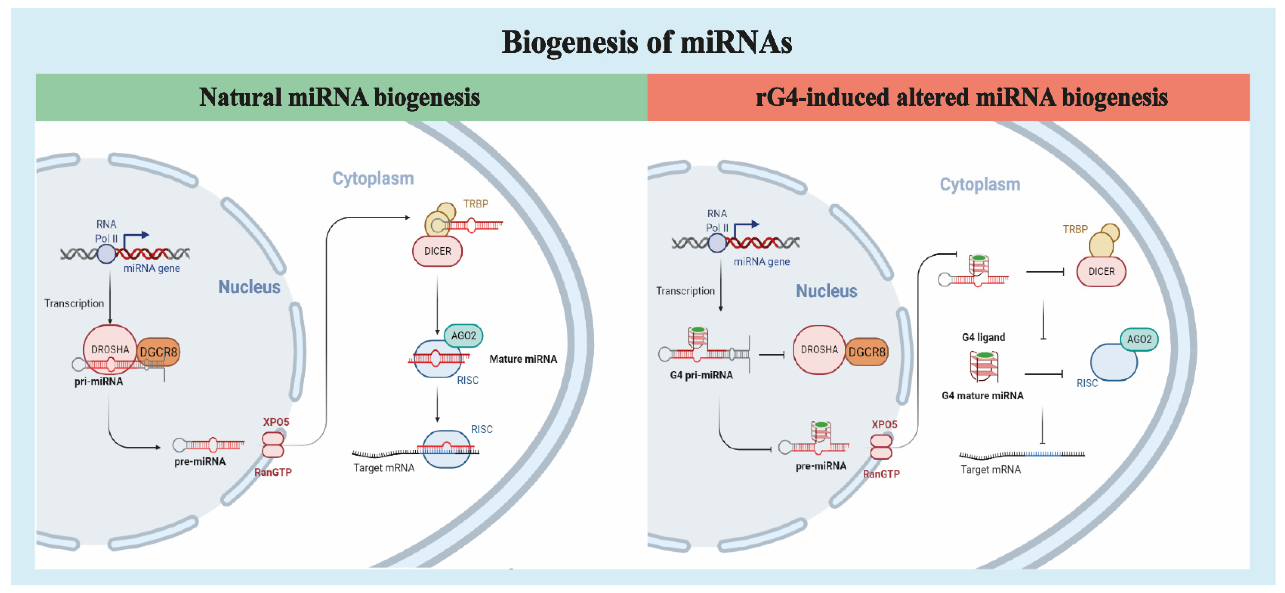 Molecules 26 06164 g008